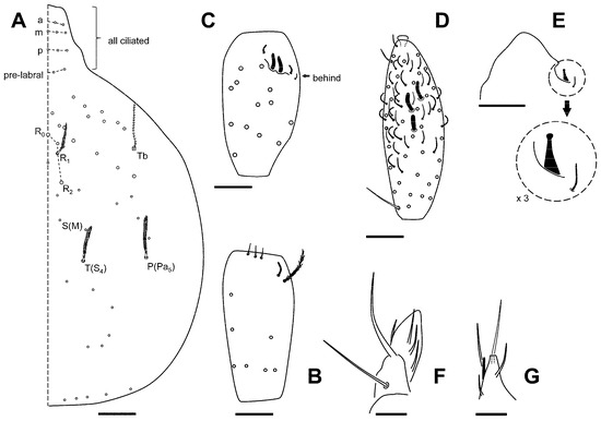 Insects 16 00309 g005