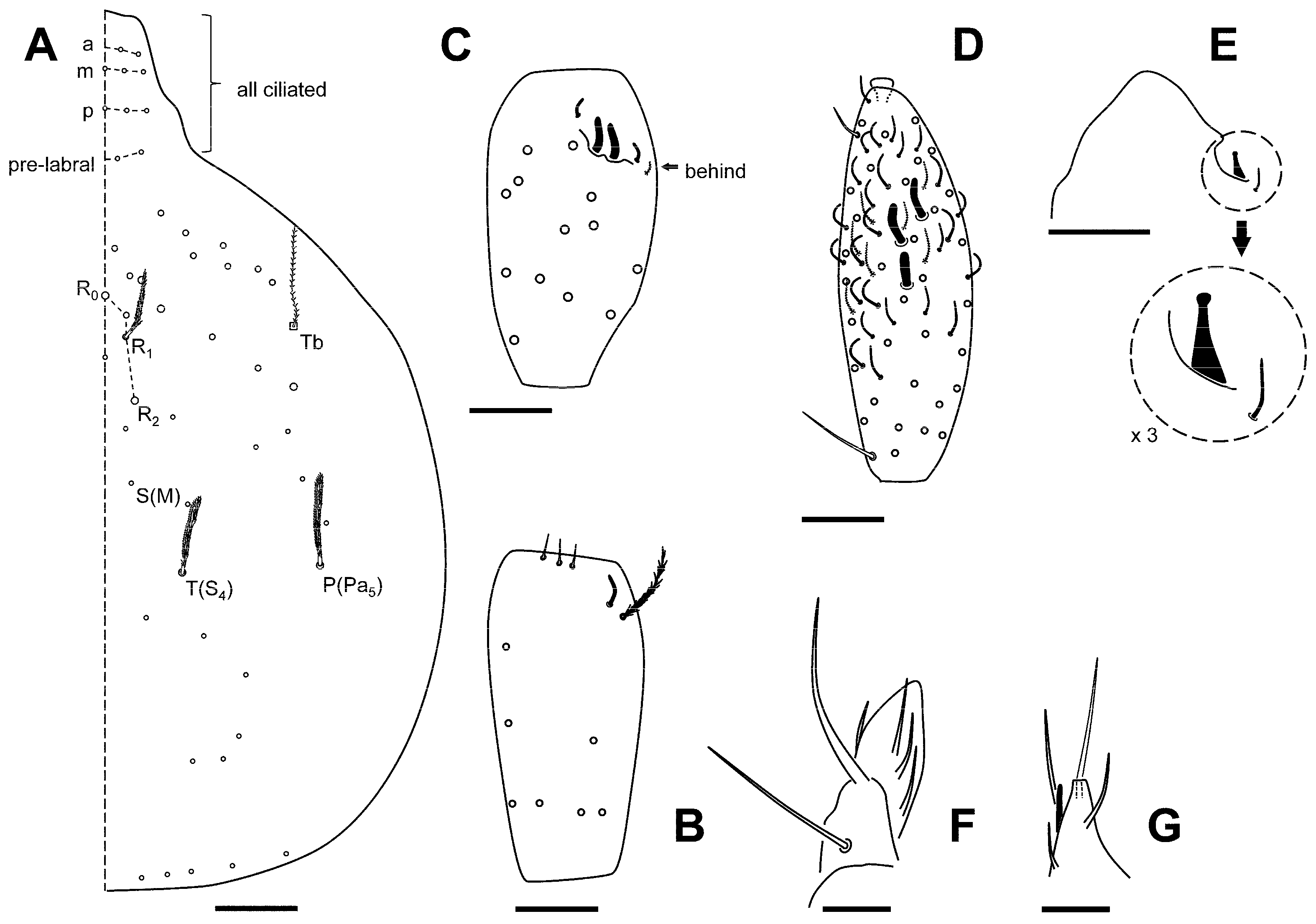 Insects 16 00309 g005