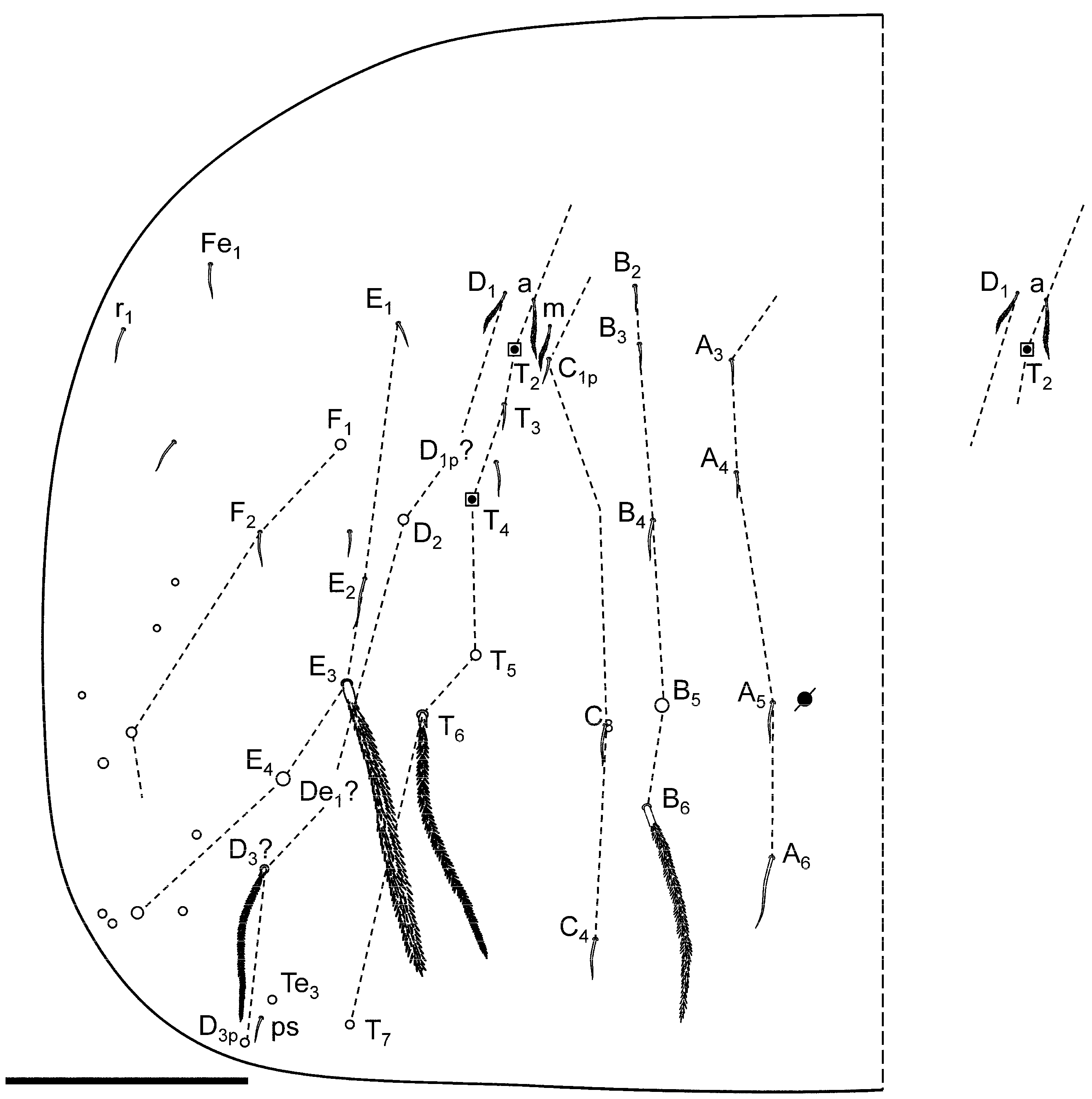 Insects 16 00309 g006