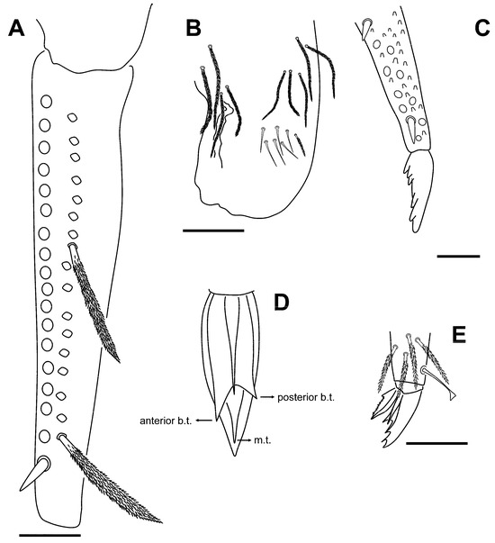 Insects 16 00309 g007