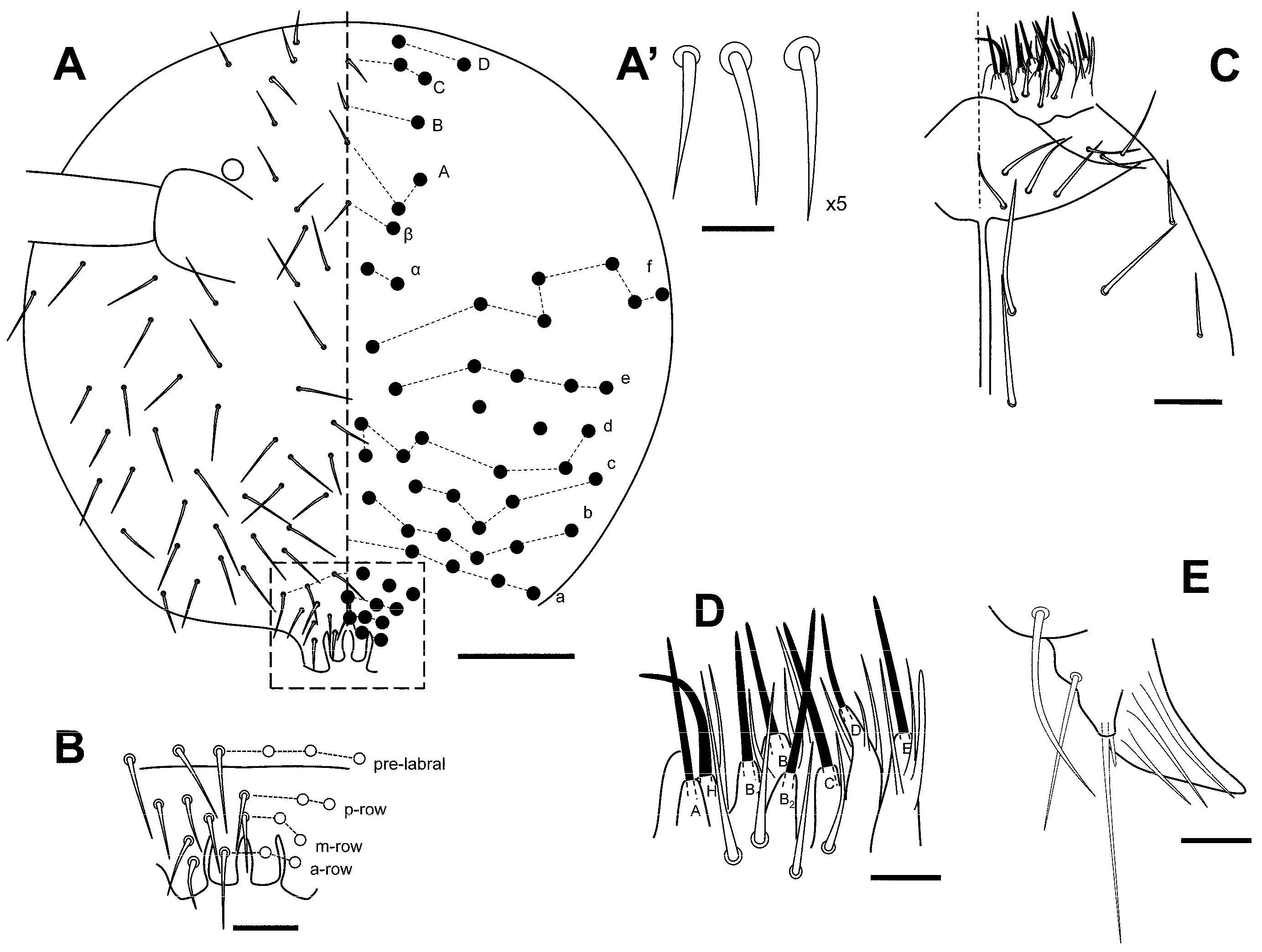 Insects 16 00309 g008