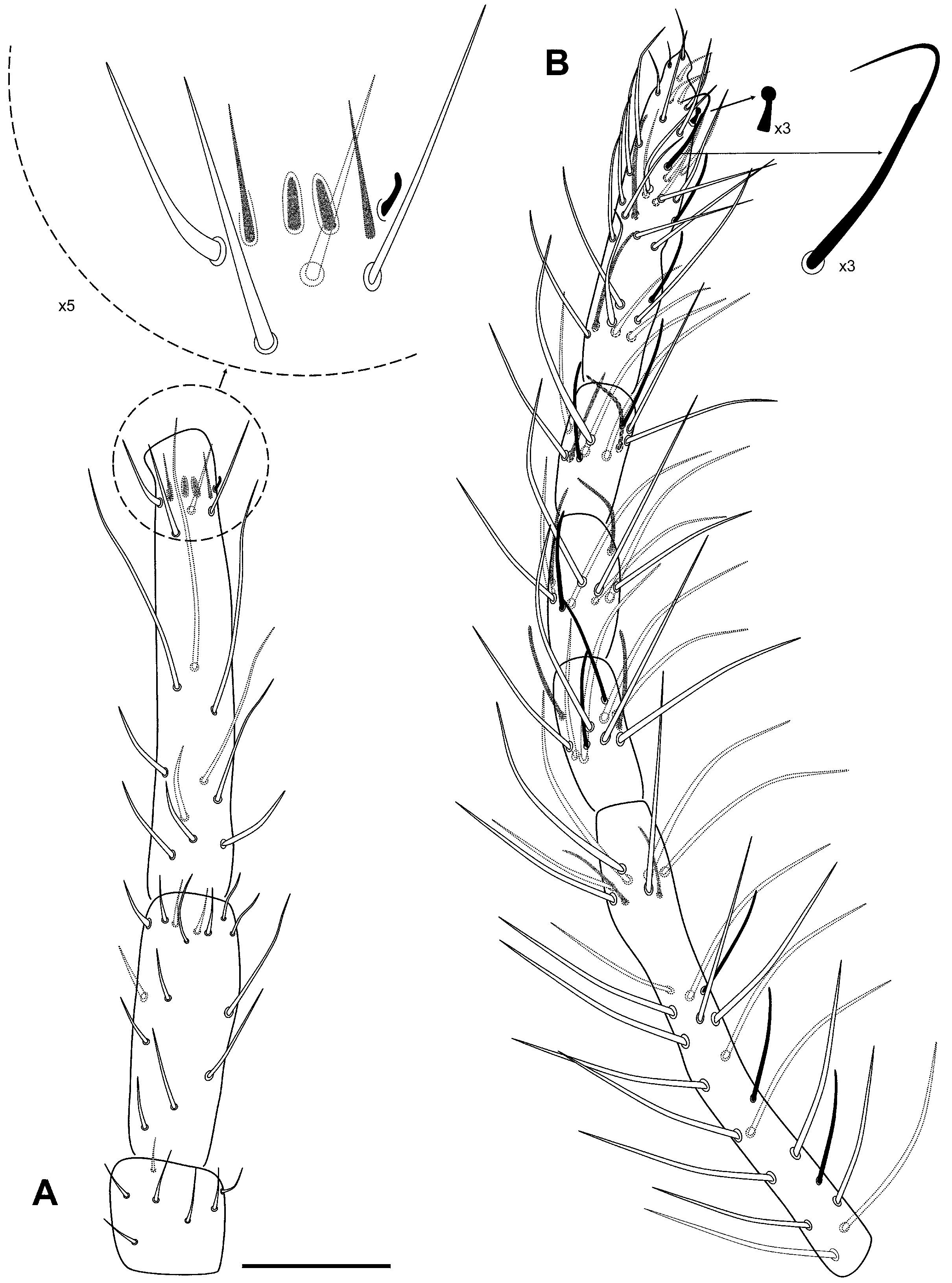 Insects 16 00309 g009