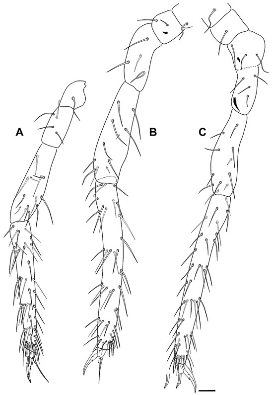 Insects 16 00309 g010