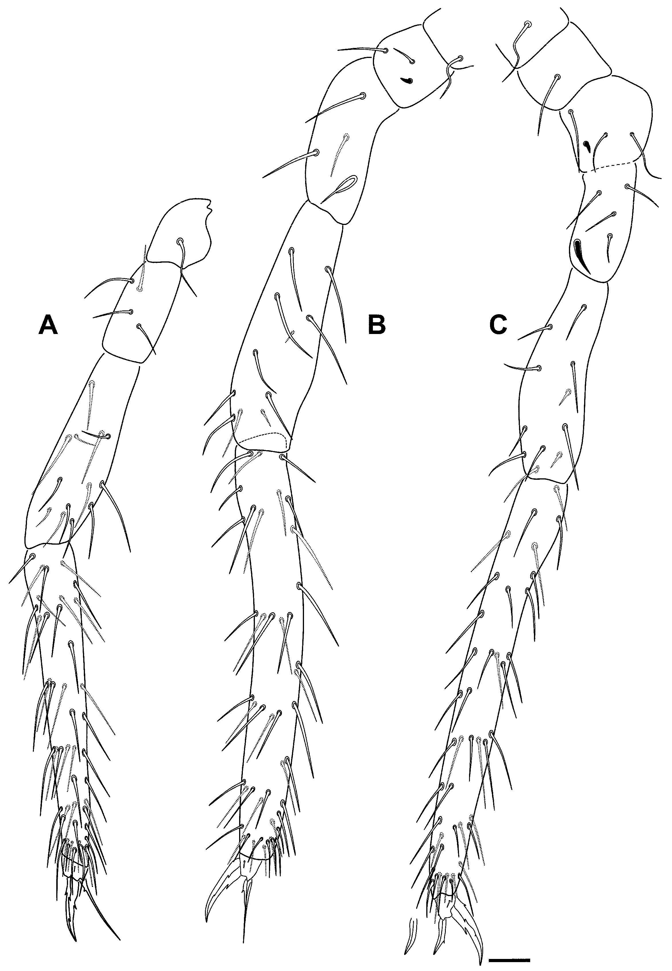 Insects 16 00309 g010