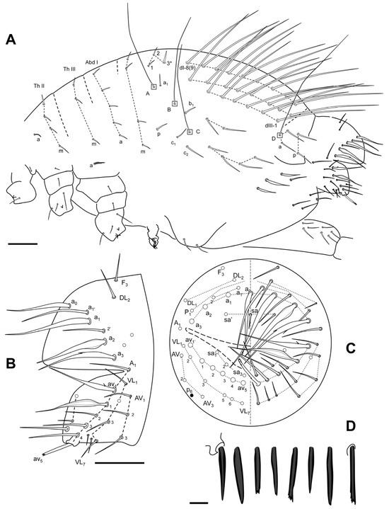 Insects 16 00309 g011