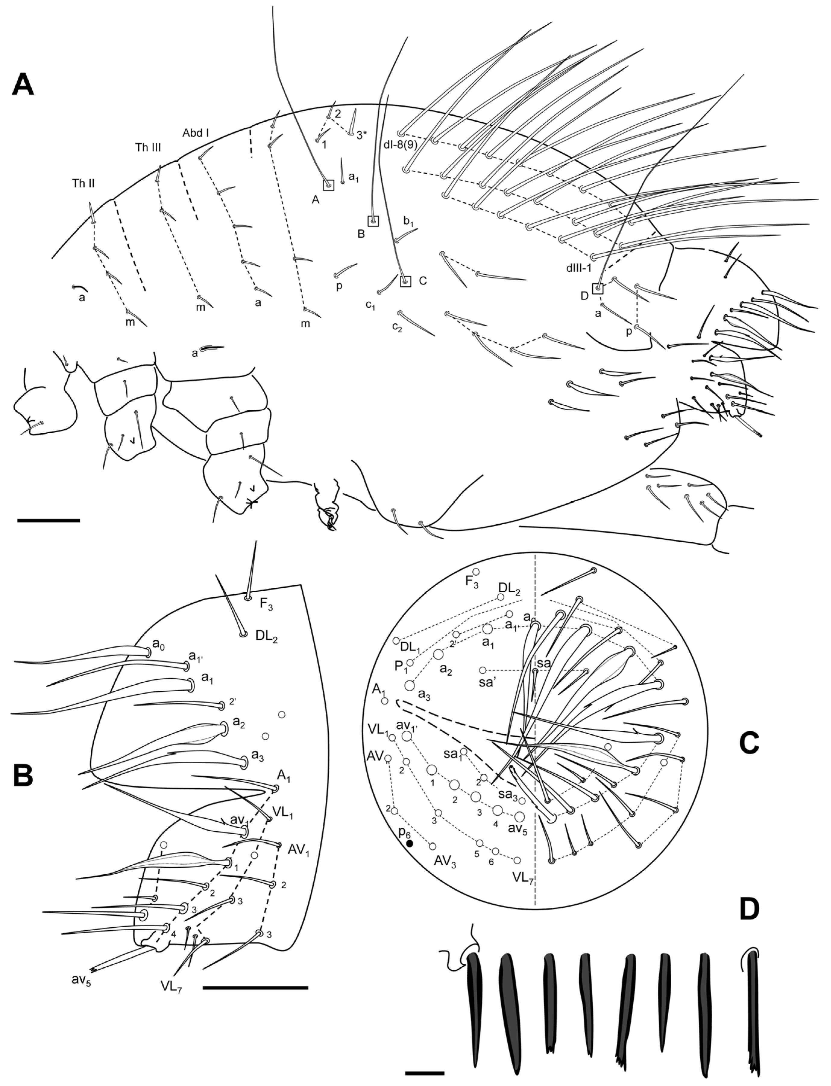 Insects 16 00309 g011