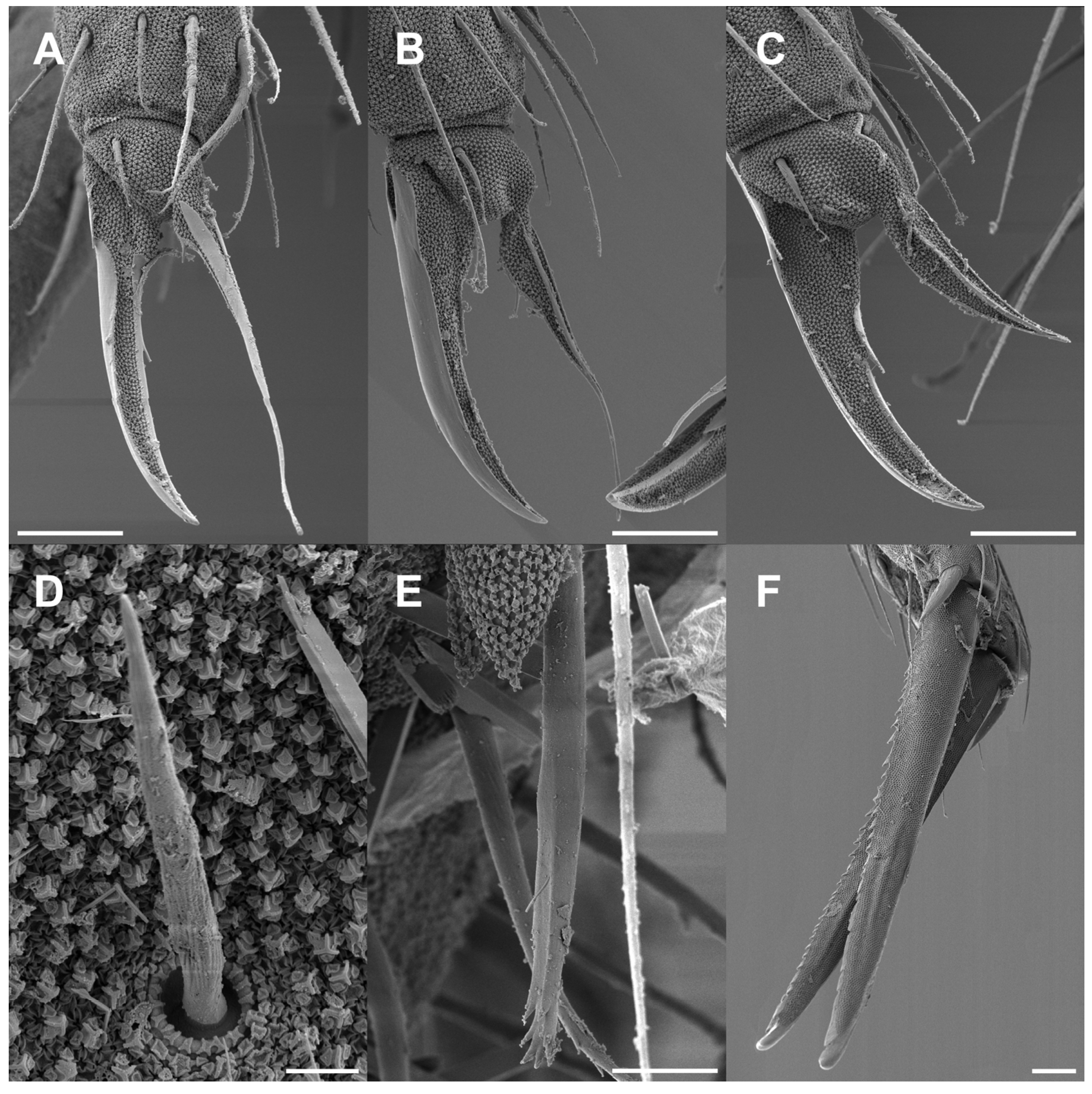 Insects 16 00309 g012