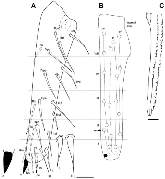 Insects 16 00309 g013