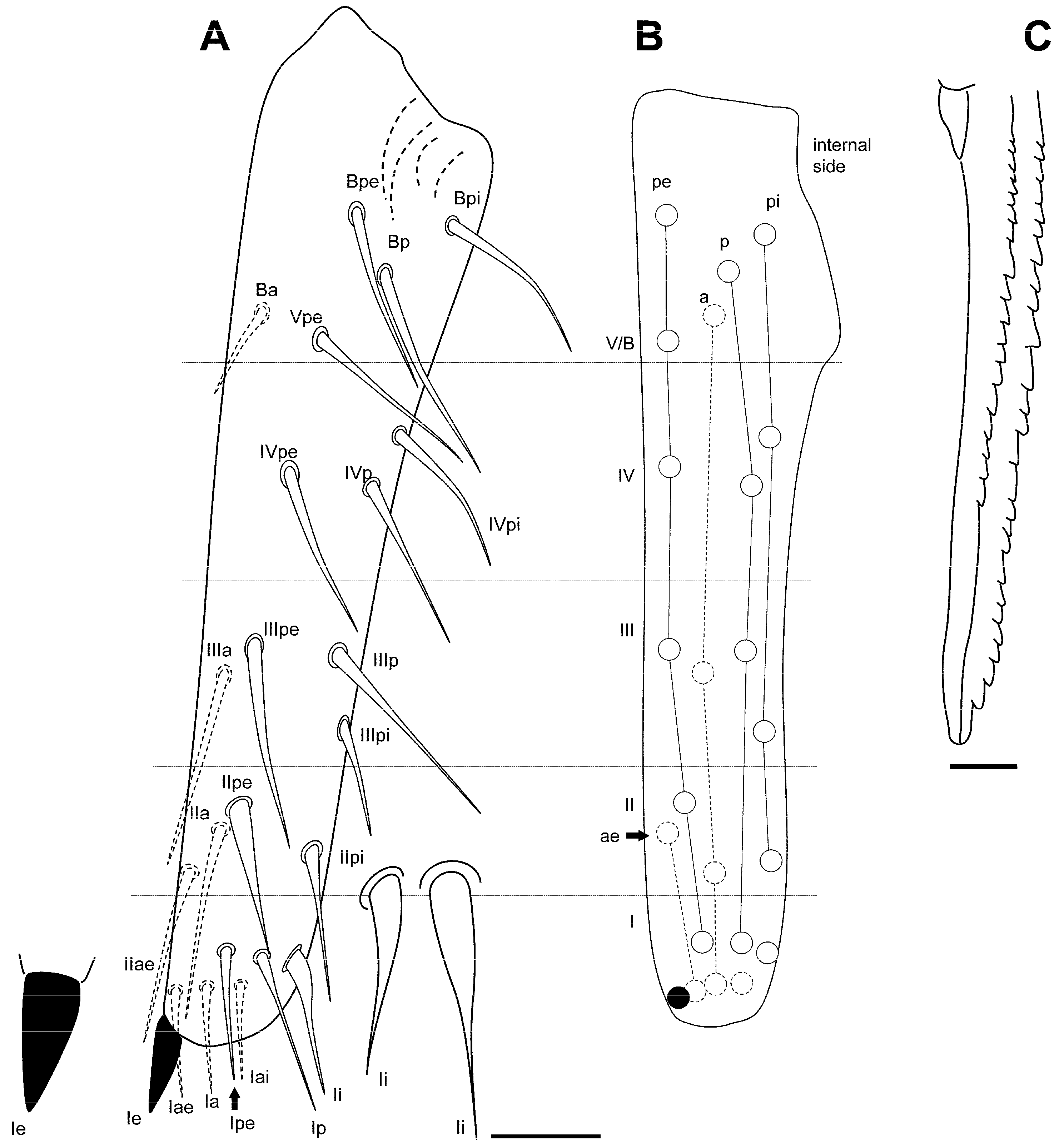 Insects 16 00309 g013