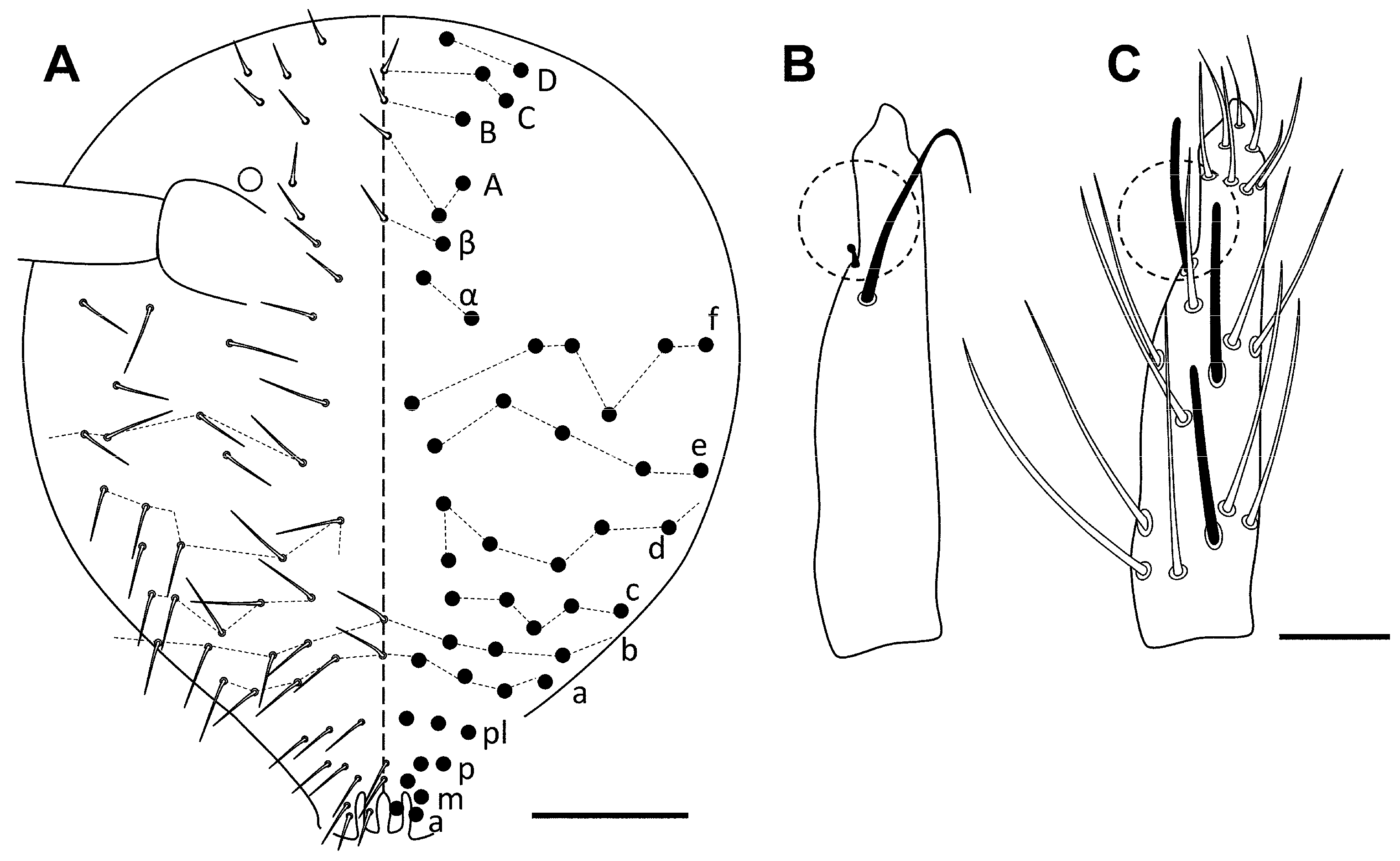 Insects 16 00309 g014