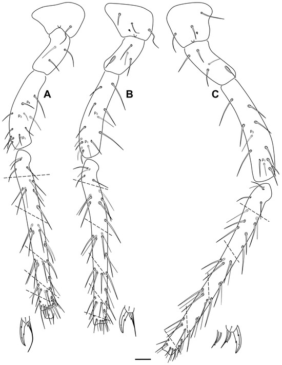Insects 16 00309 g015