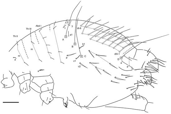 Insects 16 00309 g016
