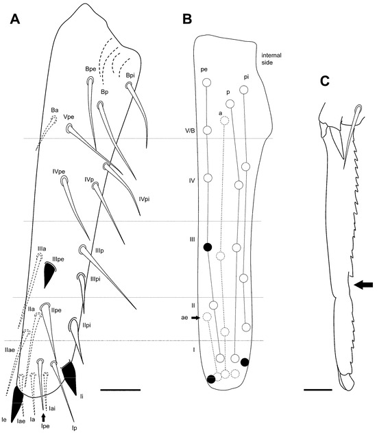 Insects 16 00309 g017