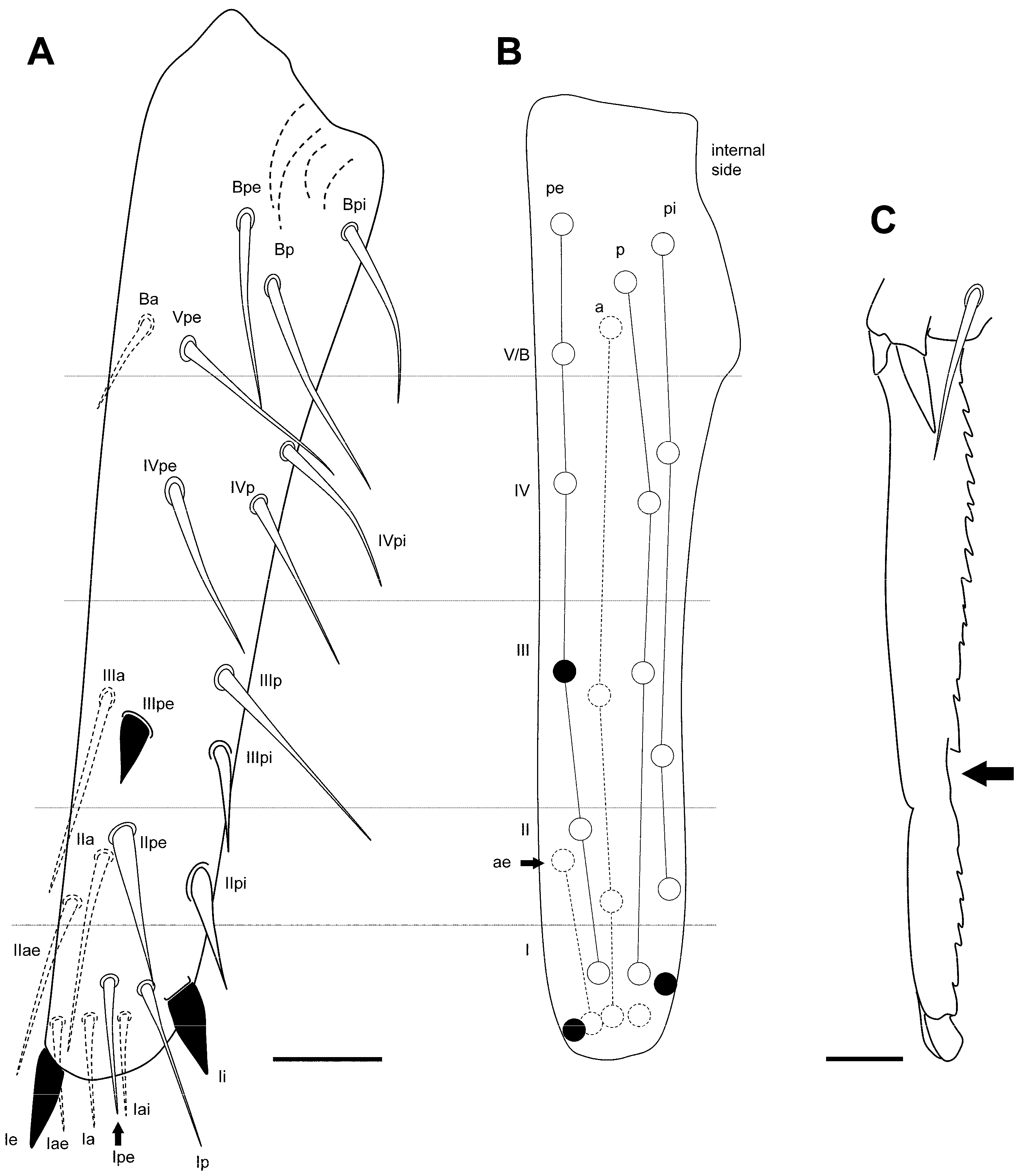 Insects 16 00309 g017
