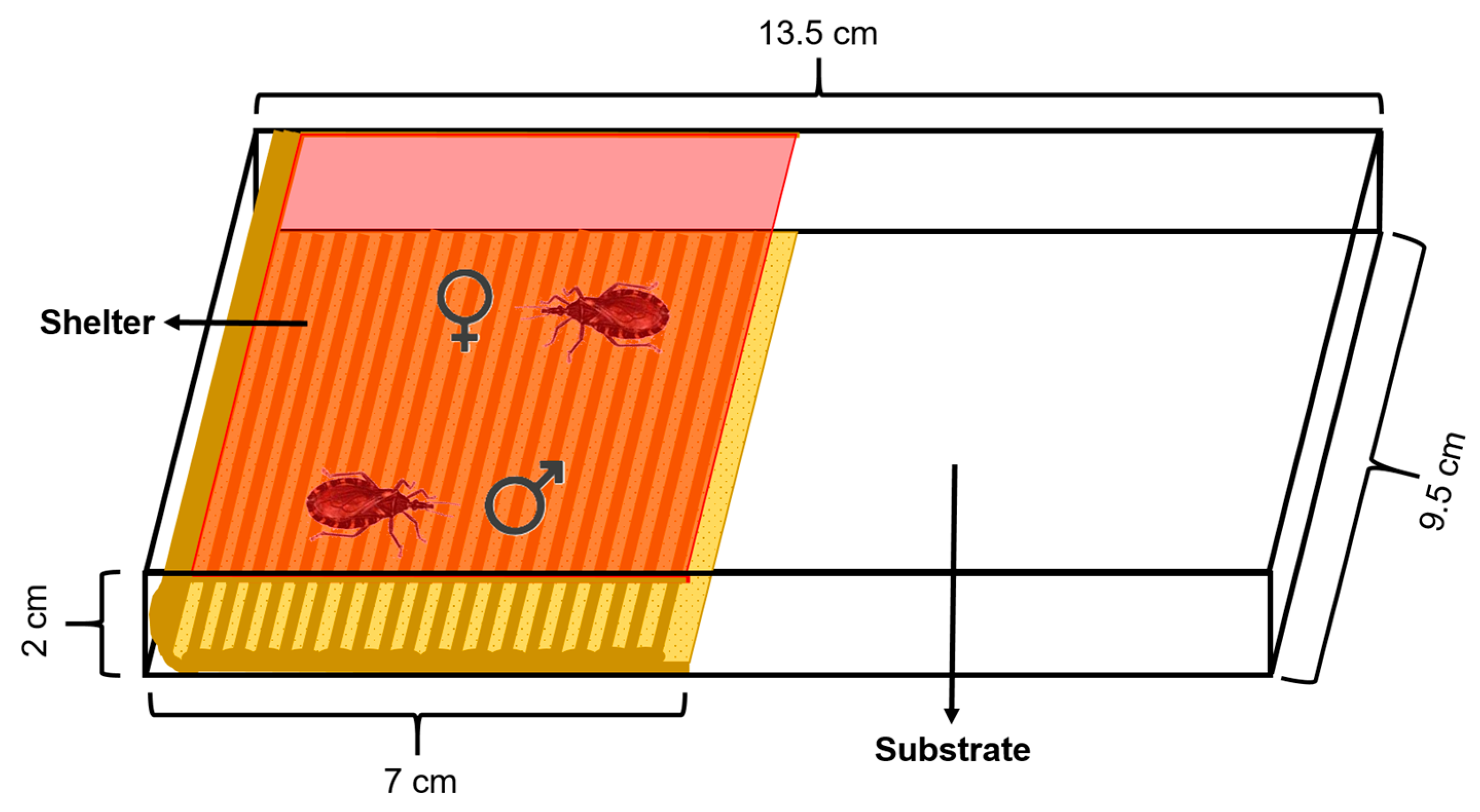 Insects 16 00312 g001