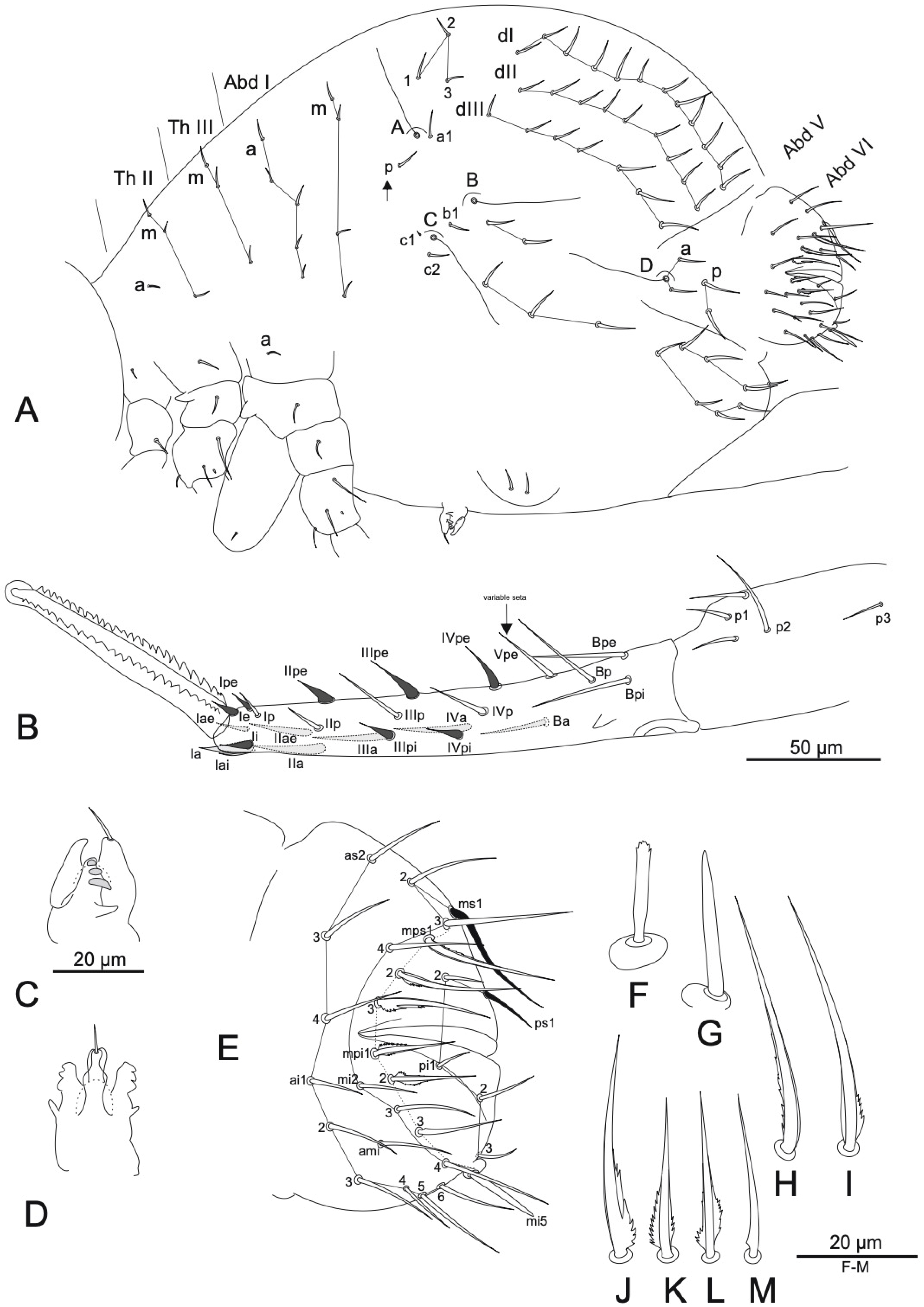 Insects 16 00314 g003