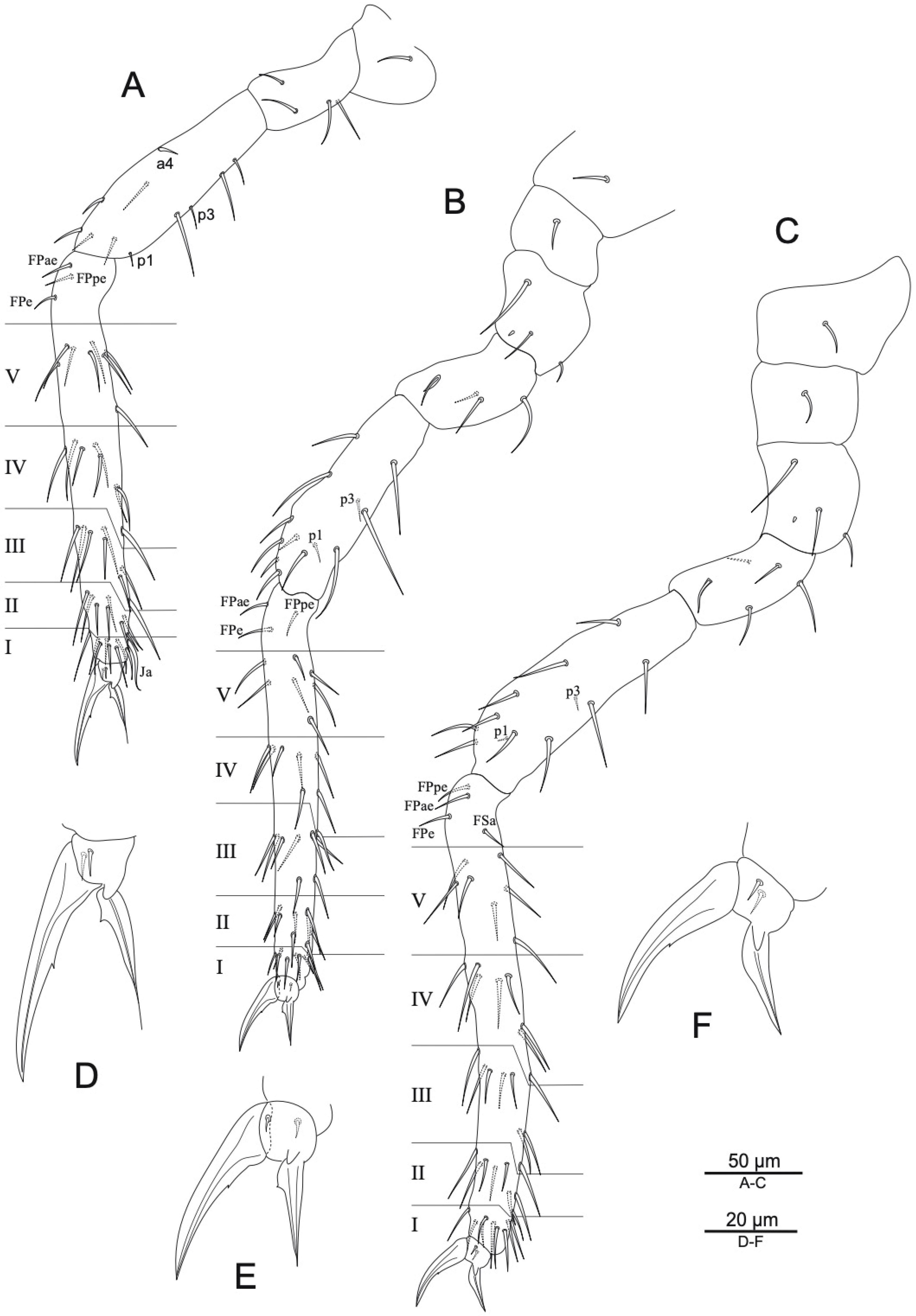 Insects 16 00314 g004