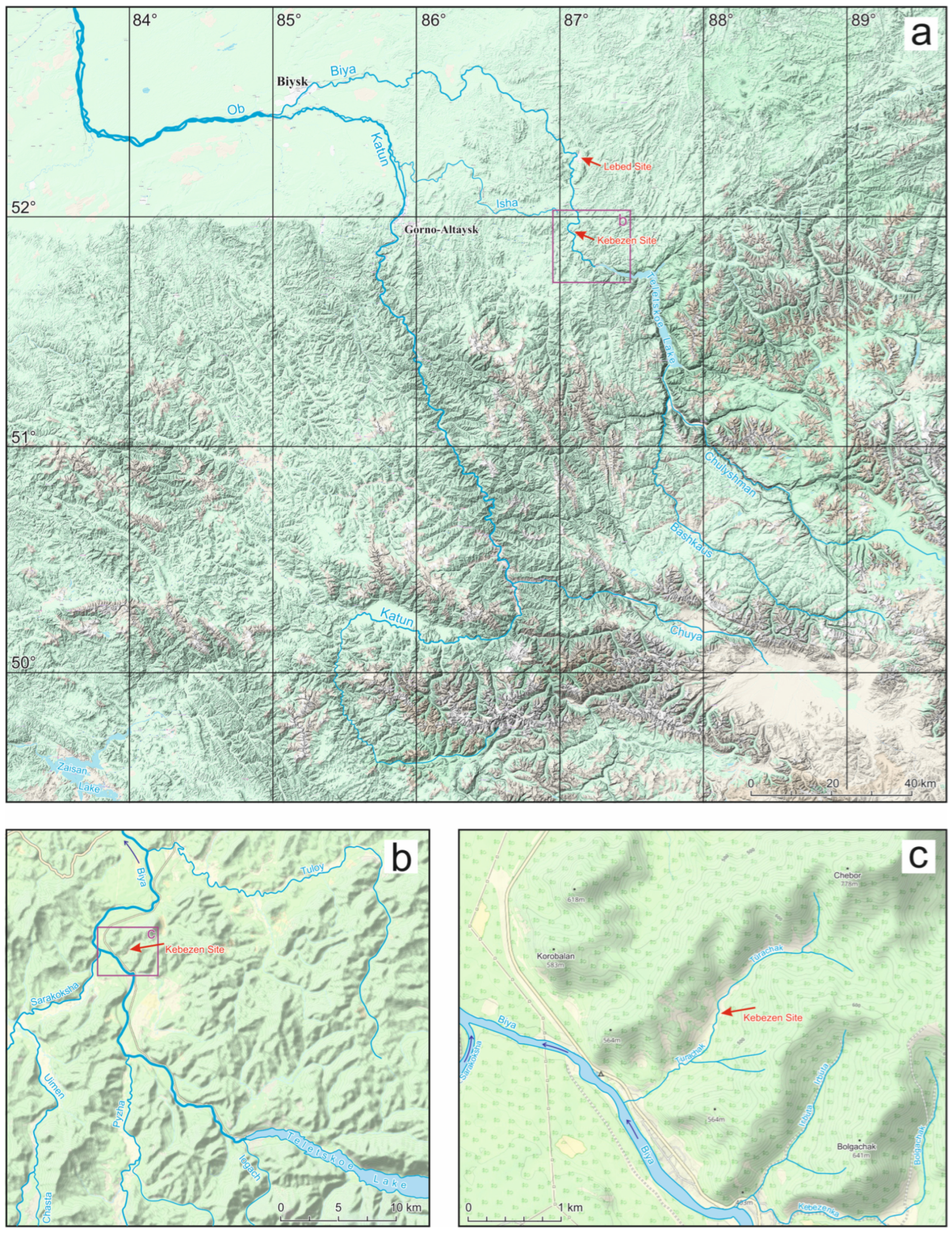 Insects 16 00321 g001