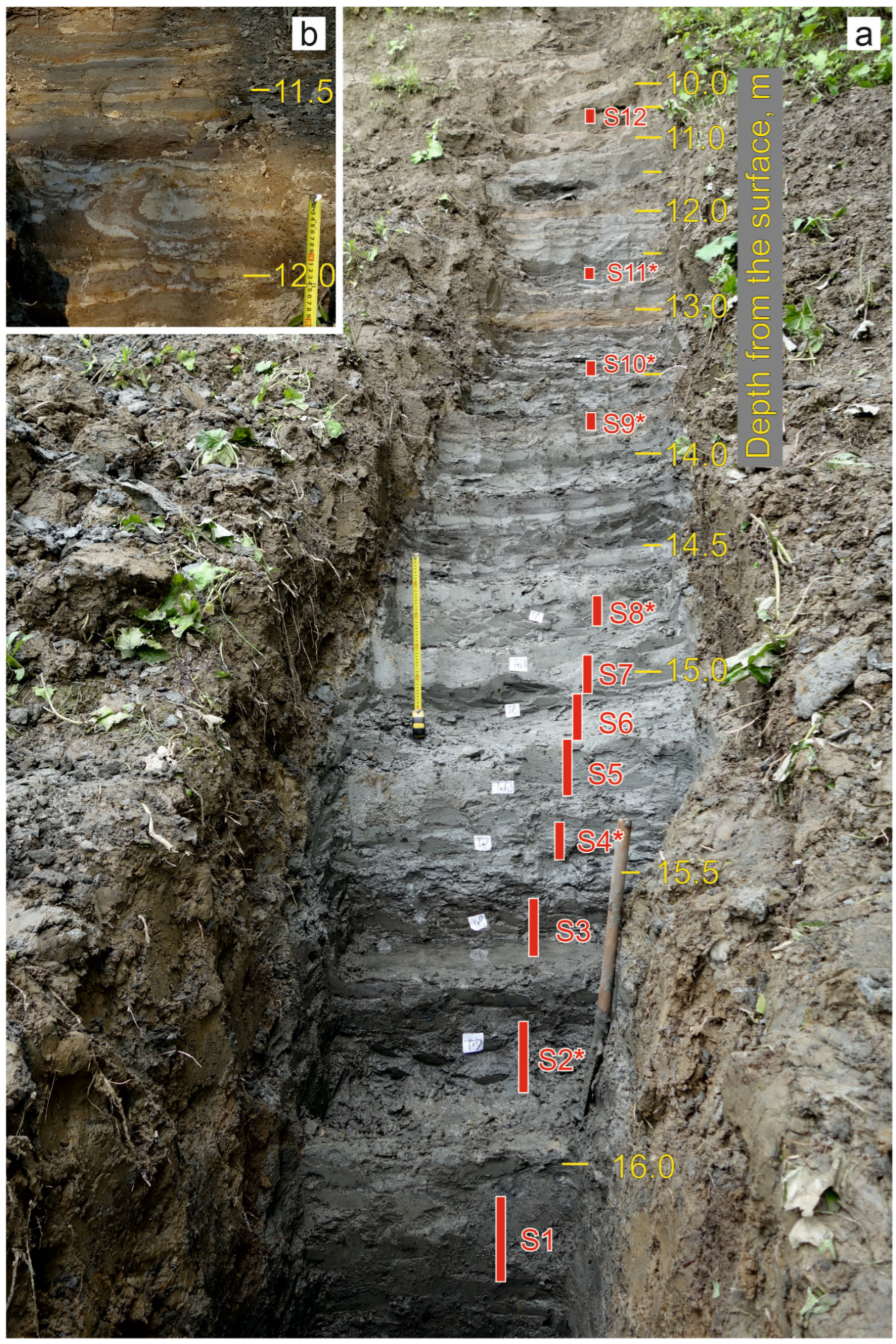 Insects 16 00321 g003