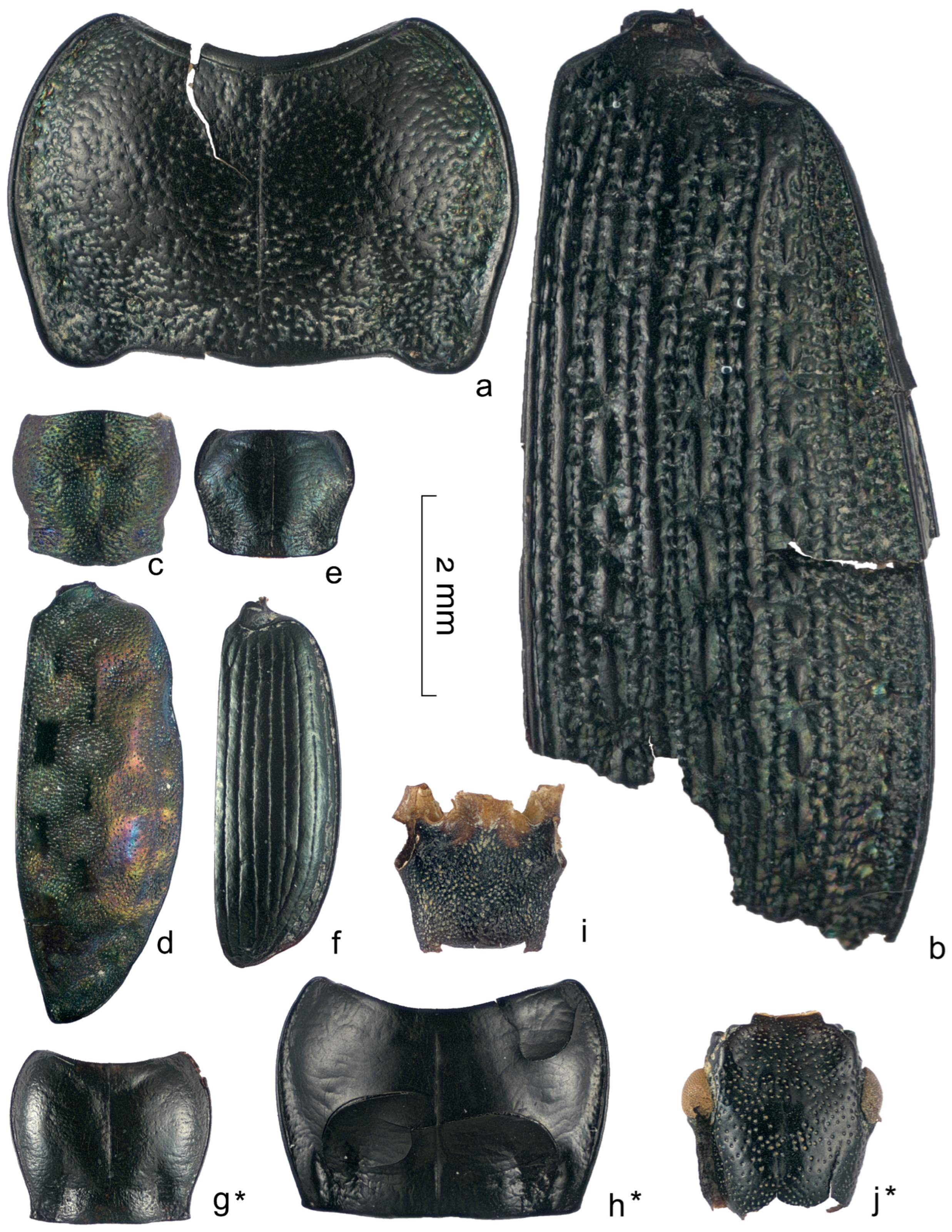 Insects 16 00321 g007