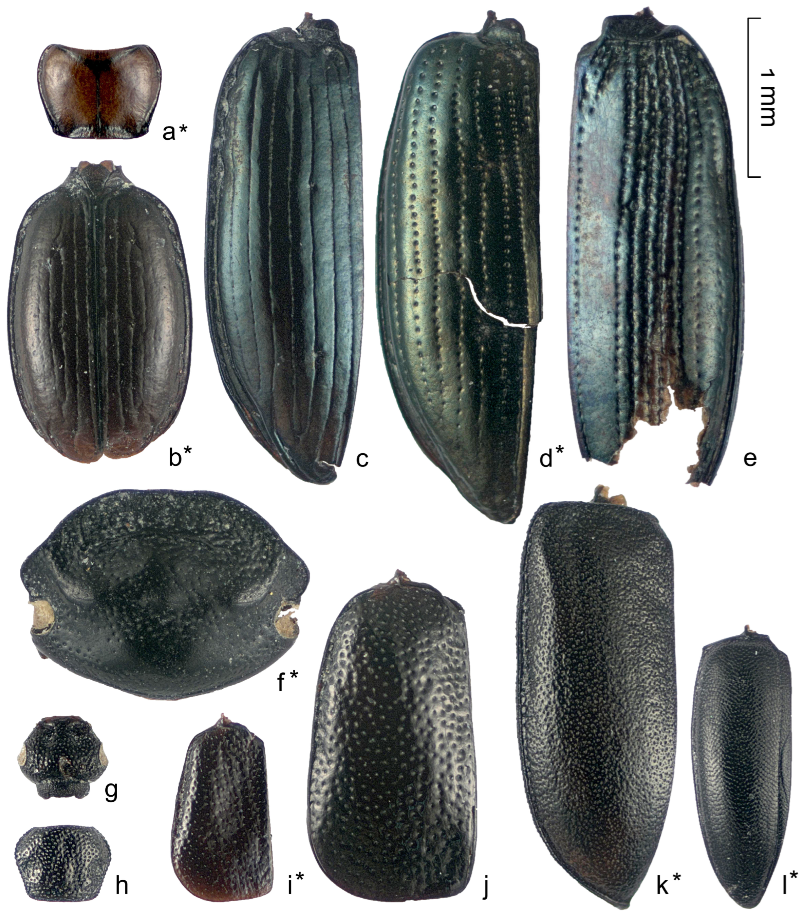 Insects 16 00321 g008