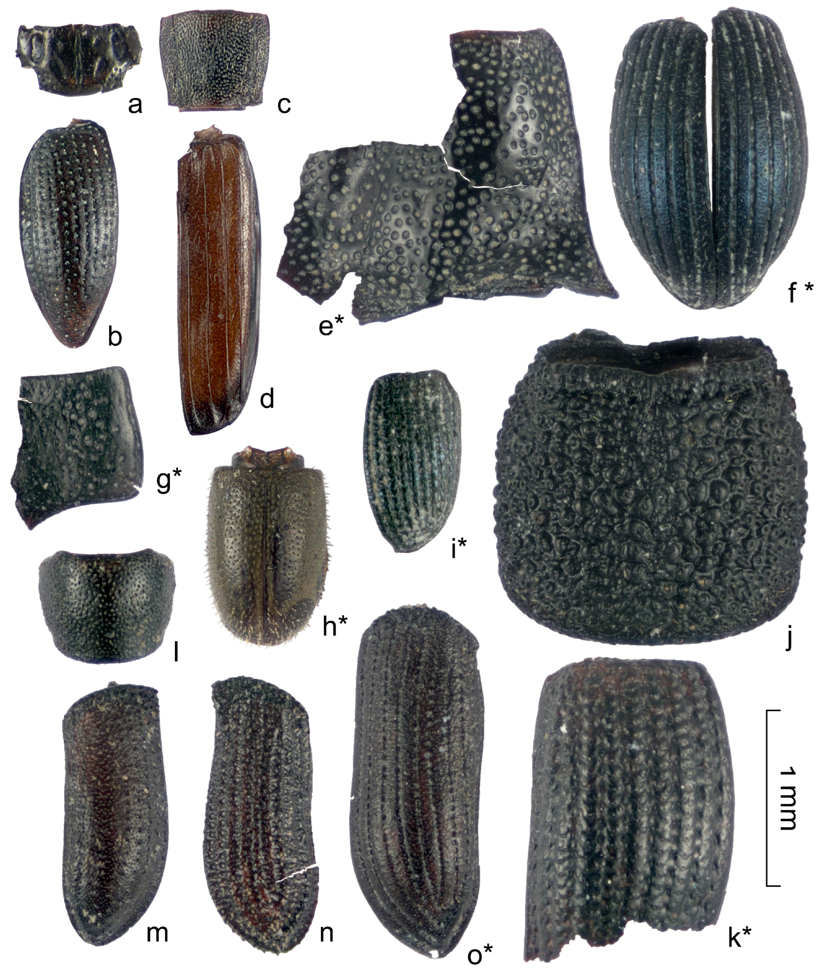 Insects 16 00321 g009