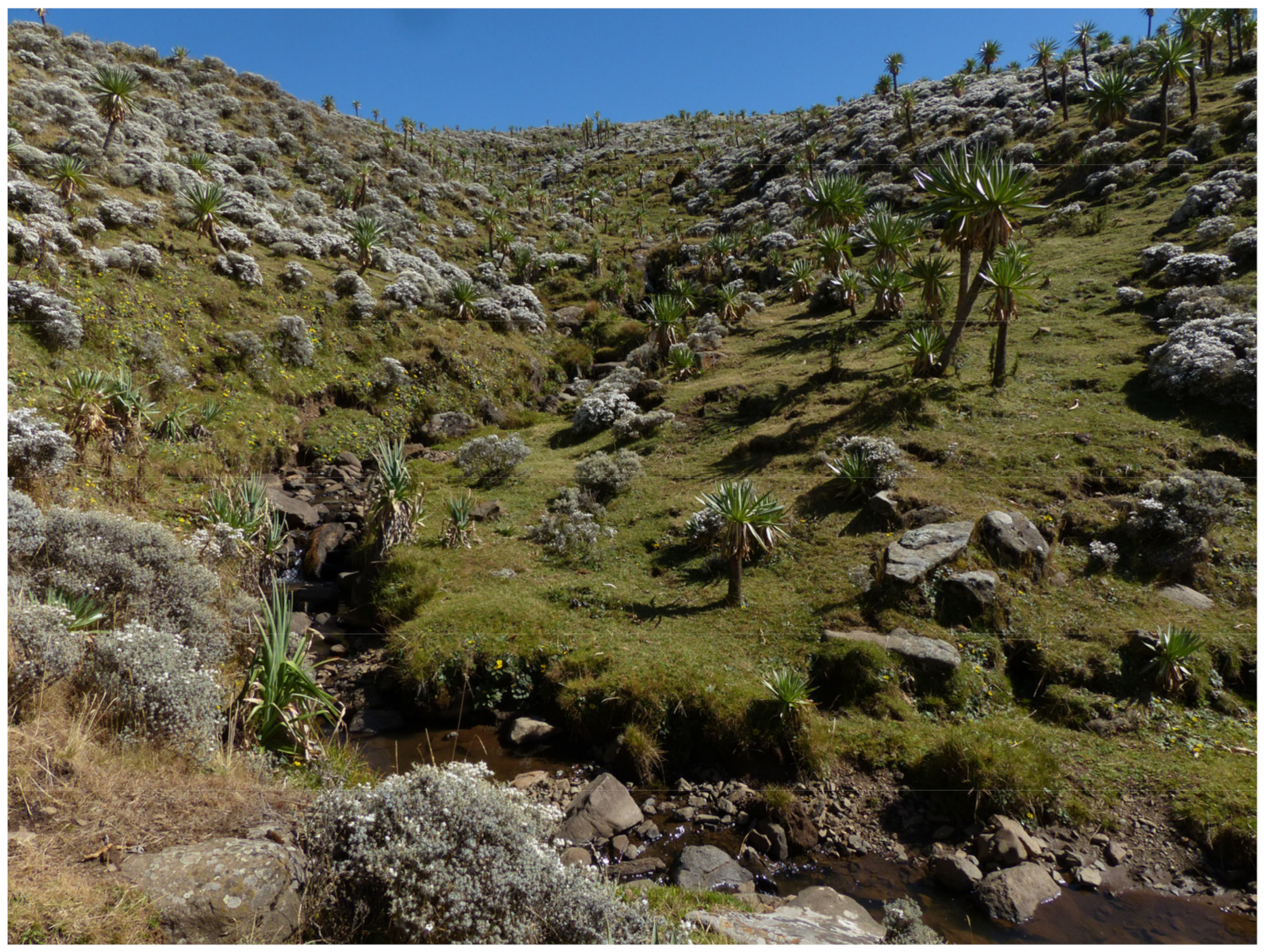 Insects 16 00328 g003 Insects 16 00328 g003