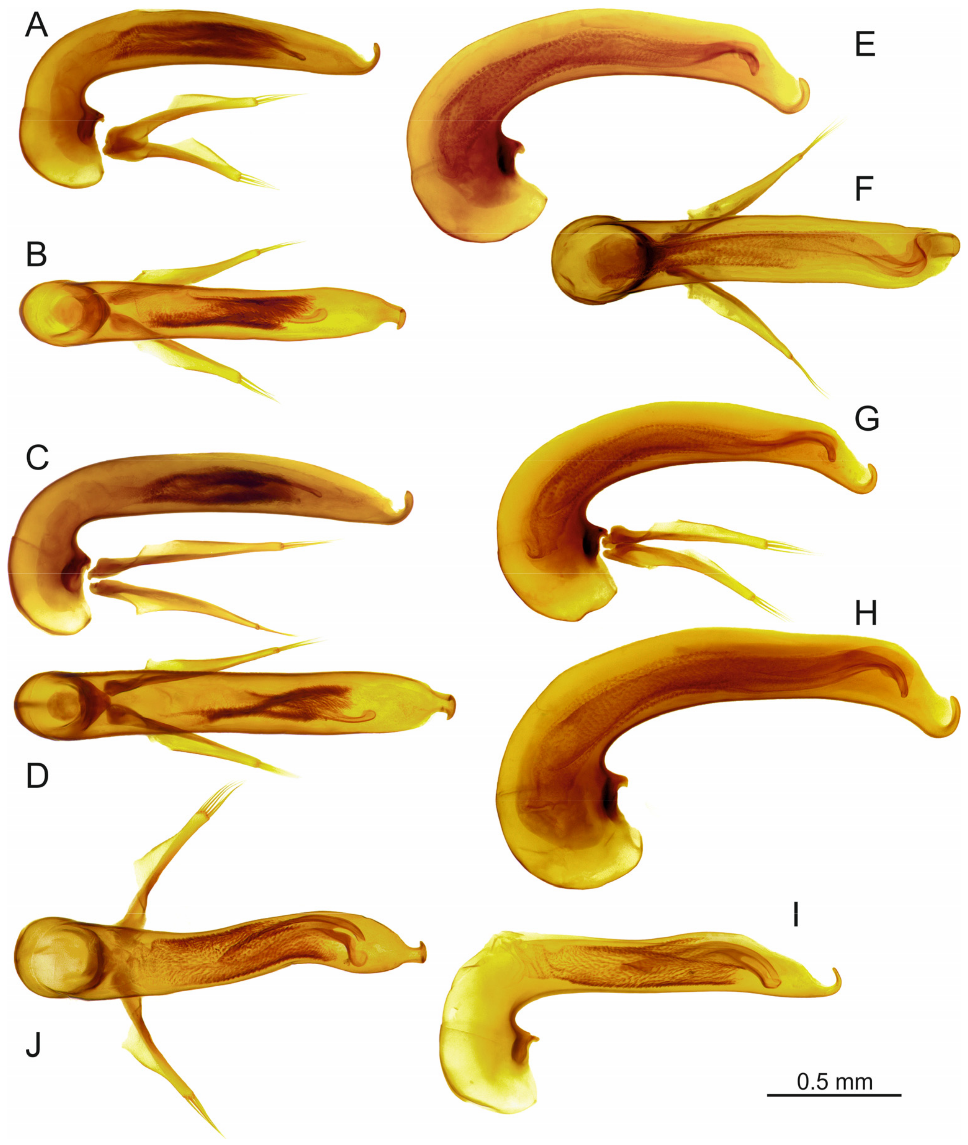 Insects 16 00328 g005 Insects 16 00328 g005
