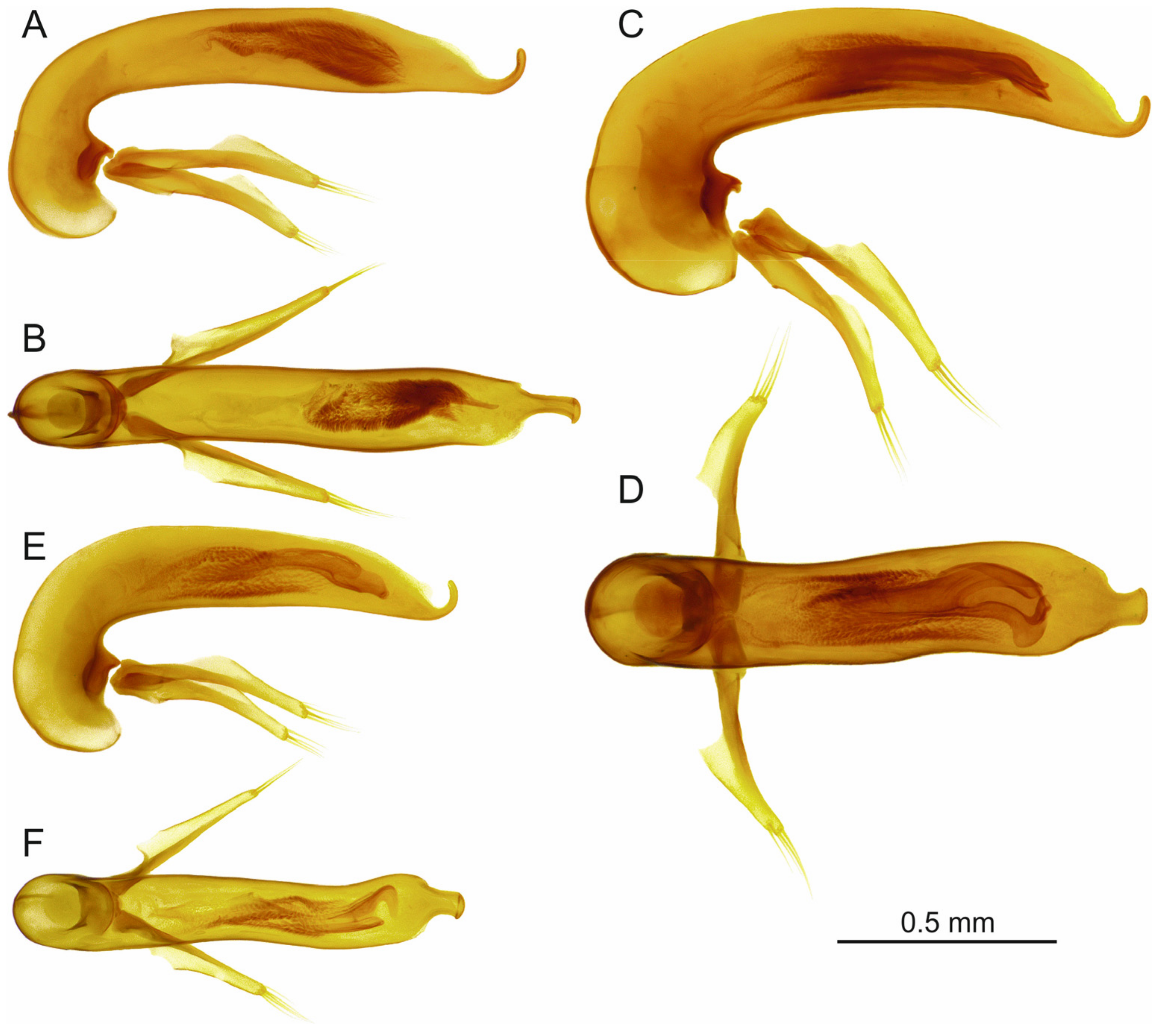 Insects 16 00328 g007 Insects 16 00328 g007