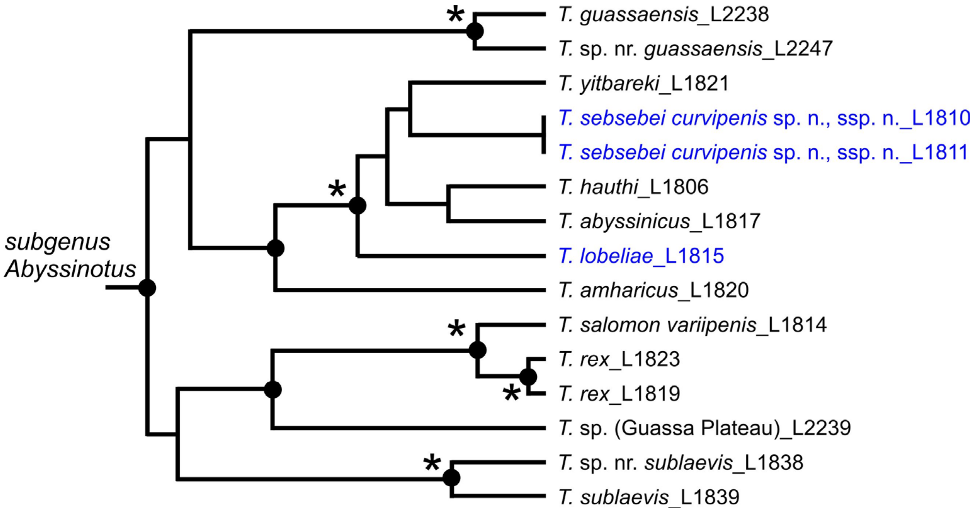 Insects 16 00328 g010 Insects 16 00328 g010