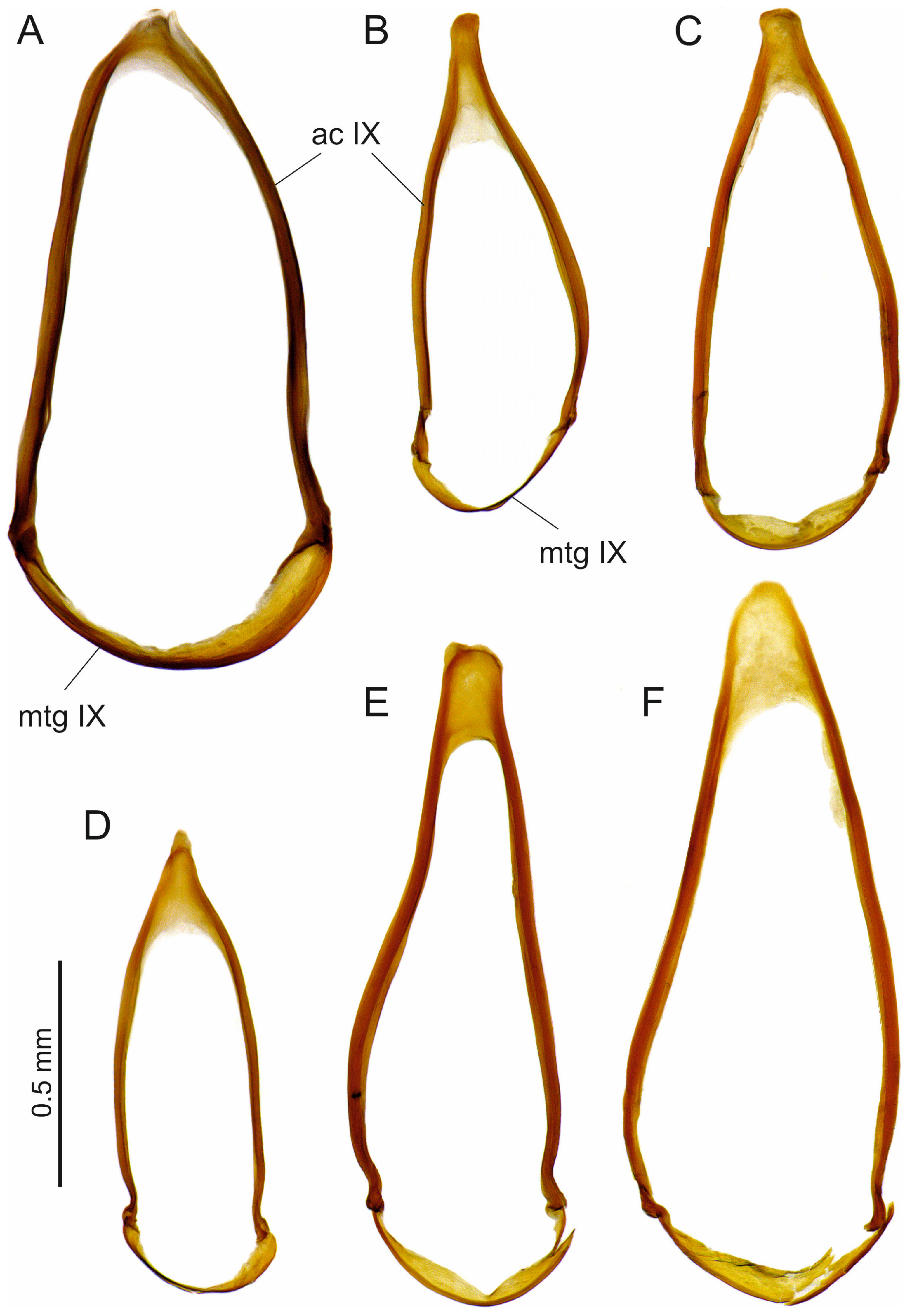 Insects 16 00328 g011 Insects 16 00328 g011