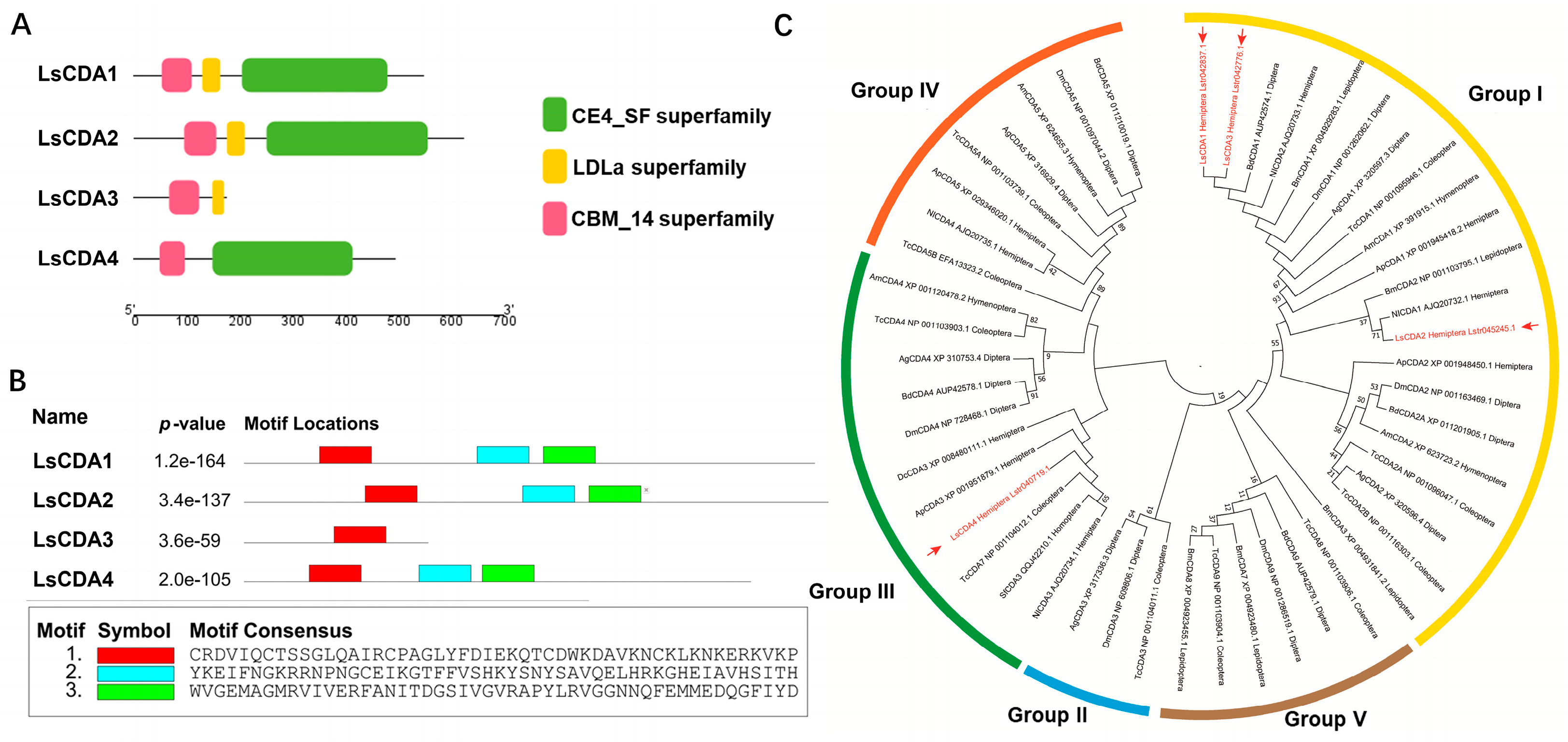 Insects 16 00334 g001
