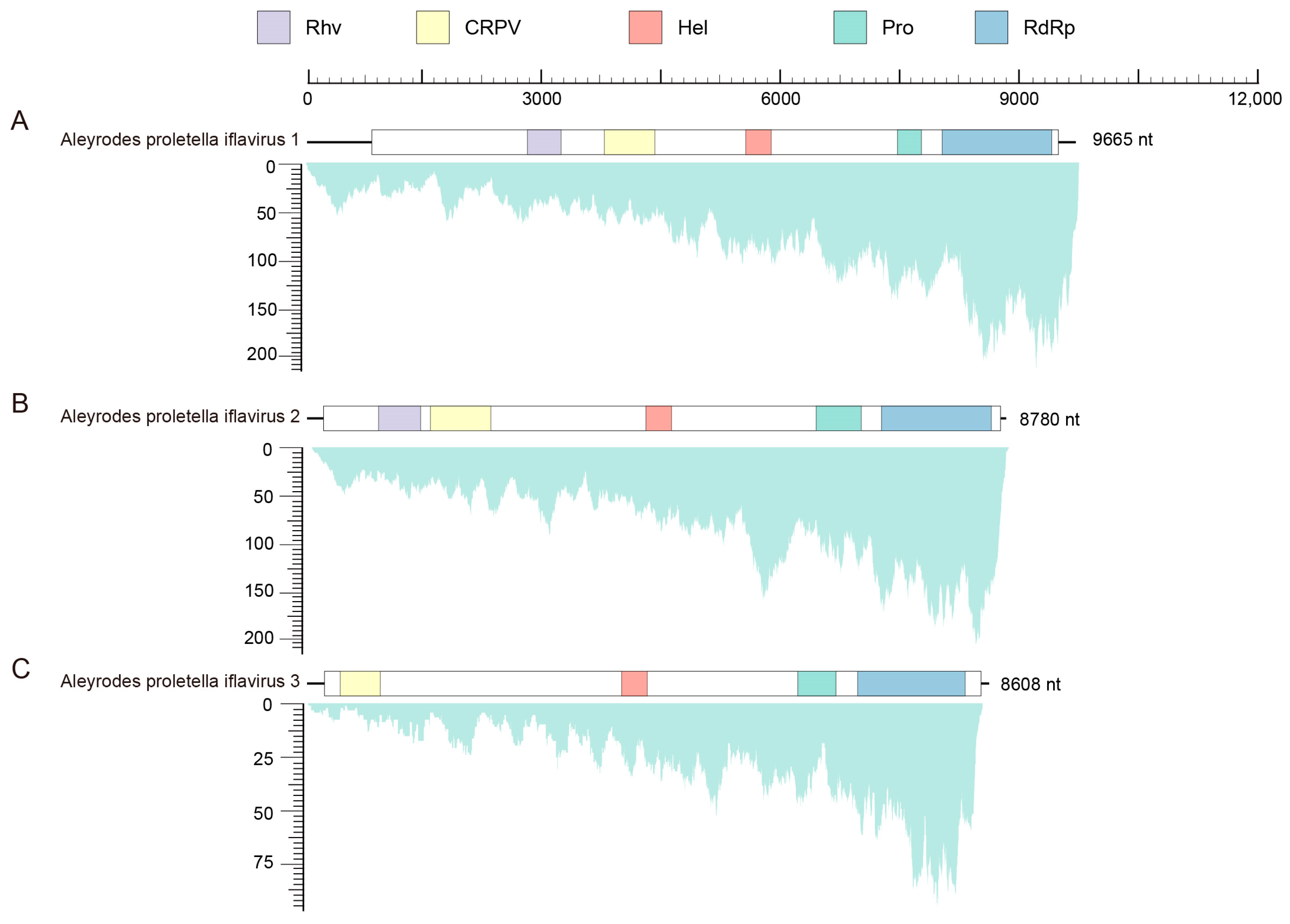 Insects 16 00335 g001