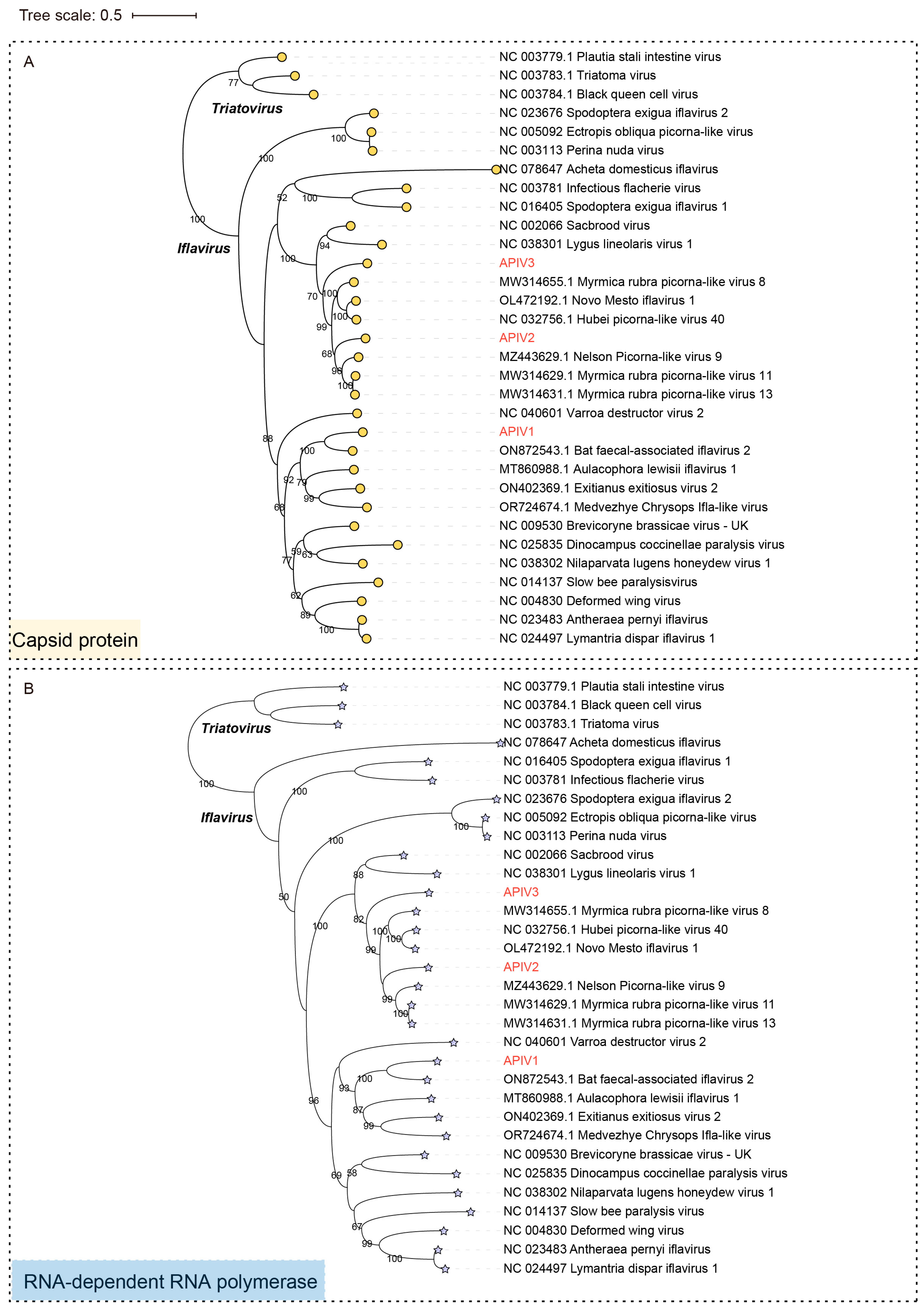 Insects 16 00335 g003