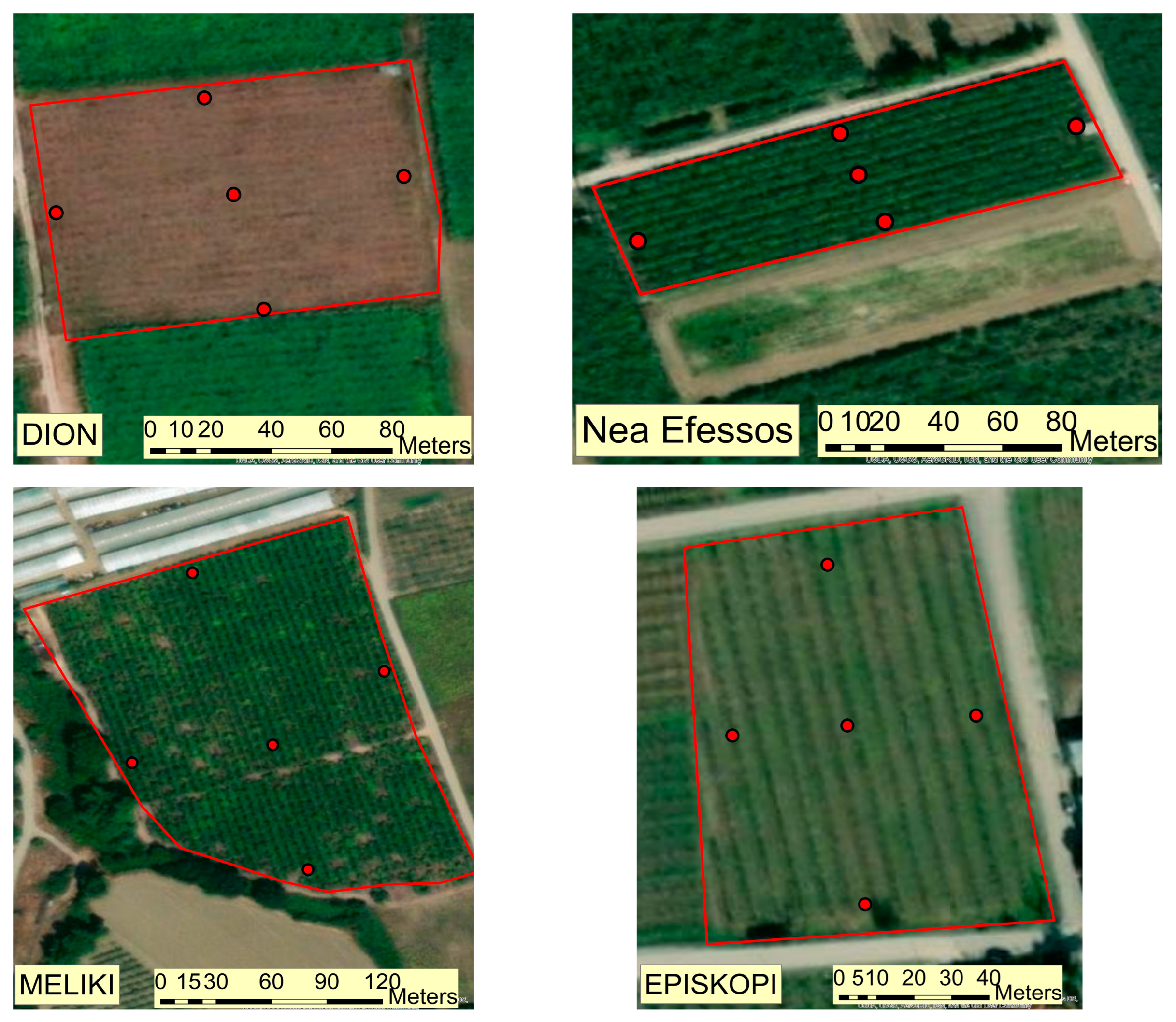 Insects 16 00336 g001