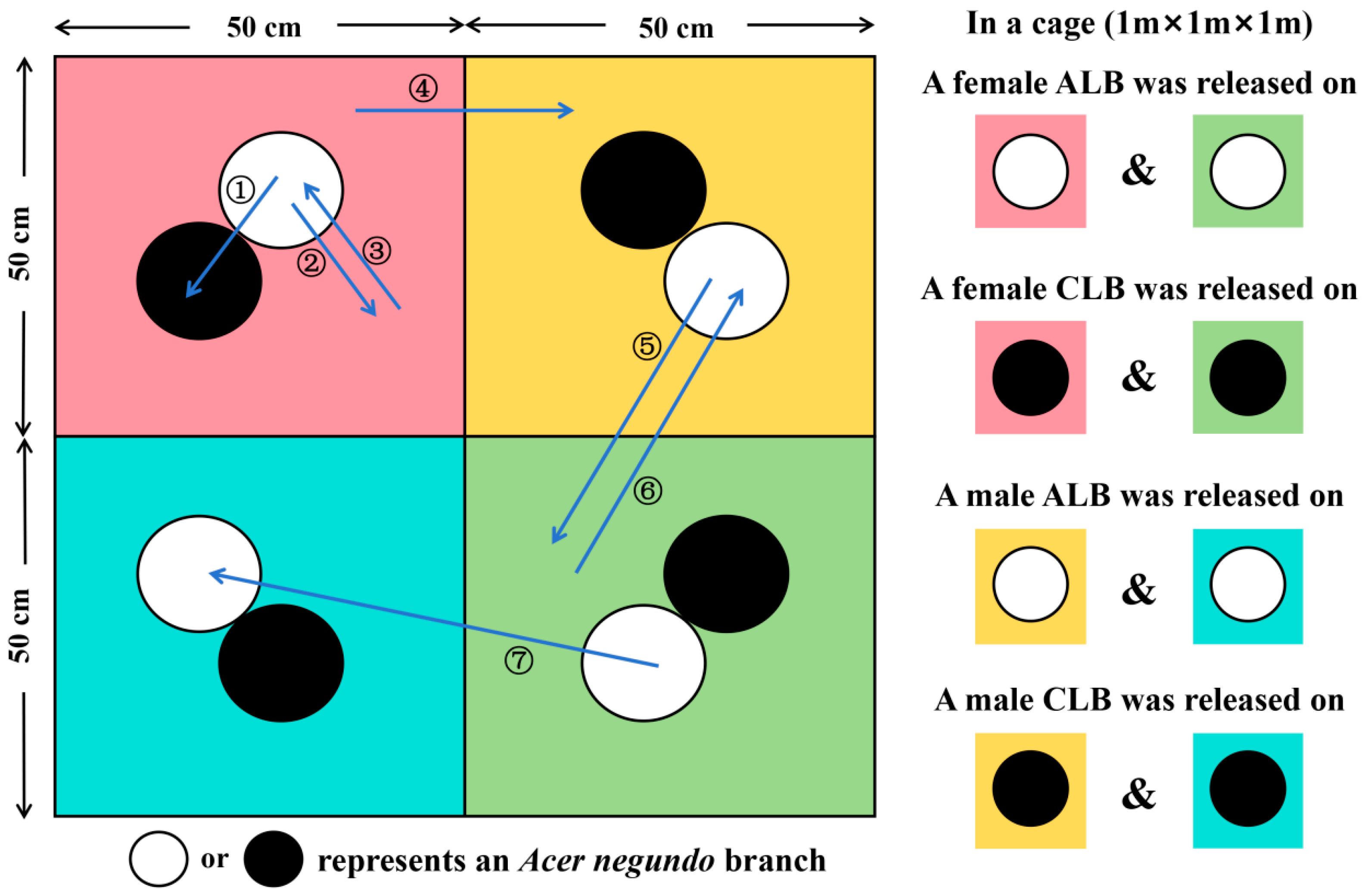 Insects 16 00352 g002