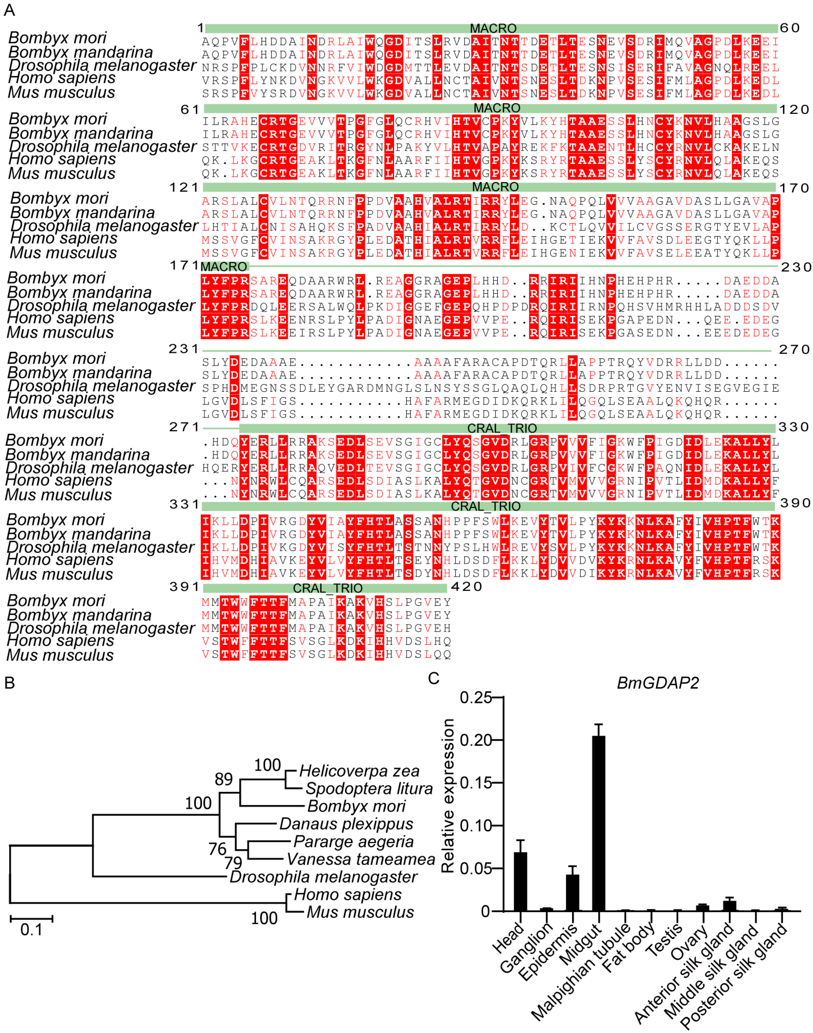 Insects 16 00354 g001