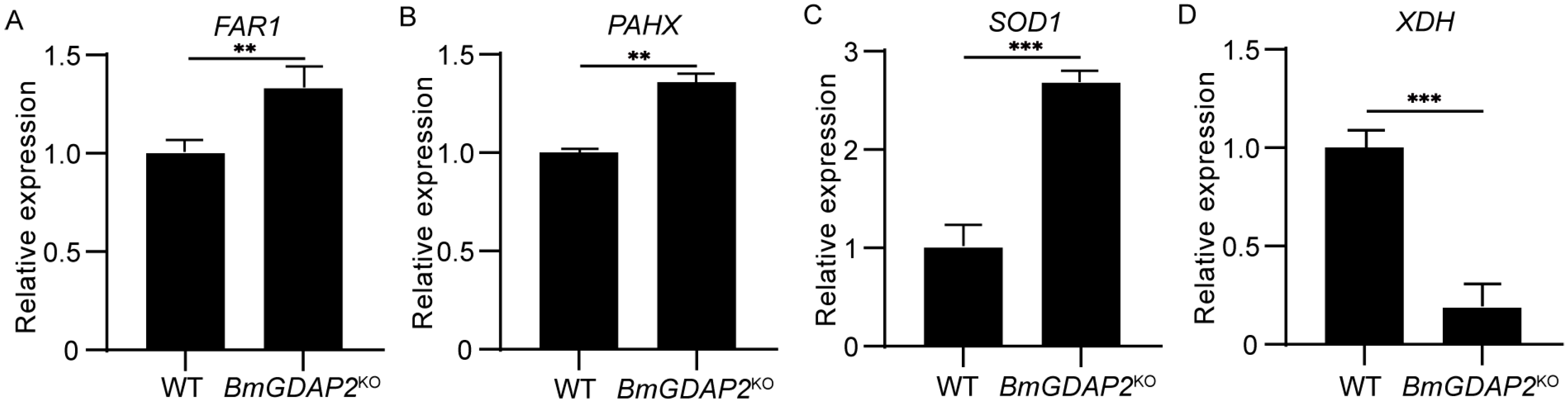 Insects 16 00354 g006