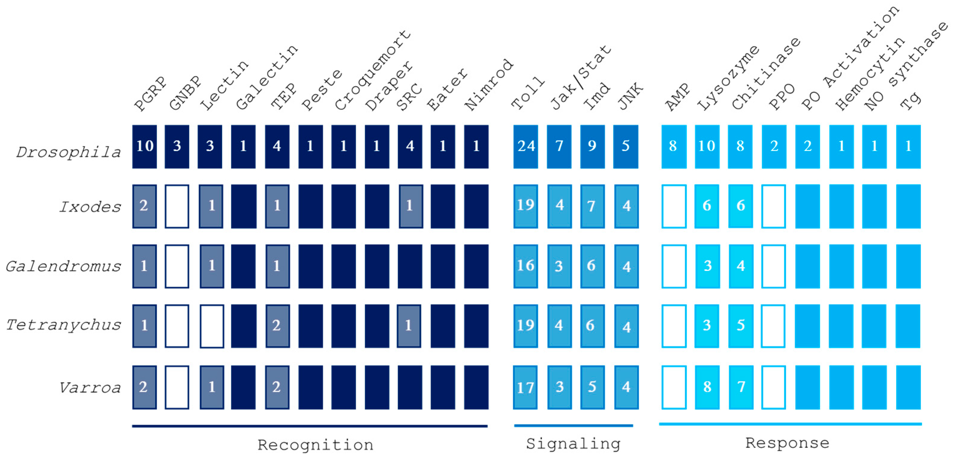Insects 16 00356 g001