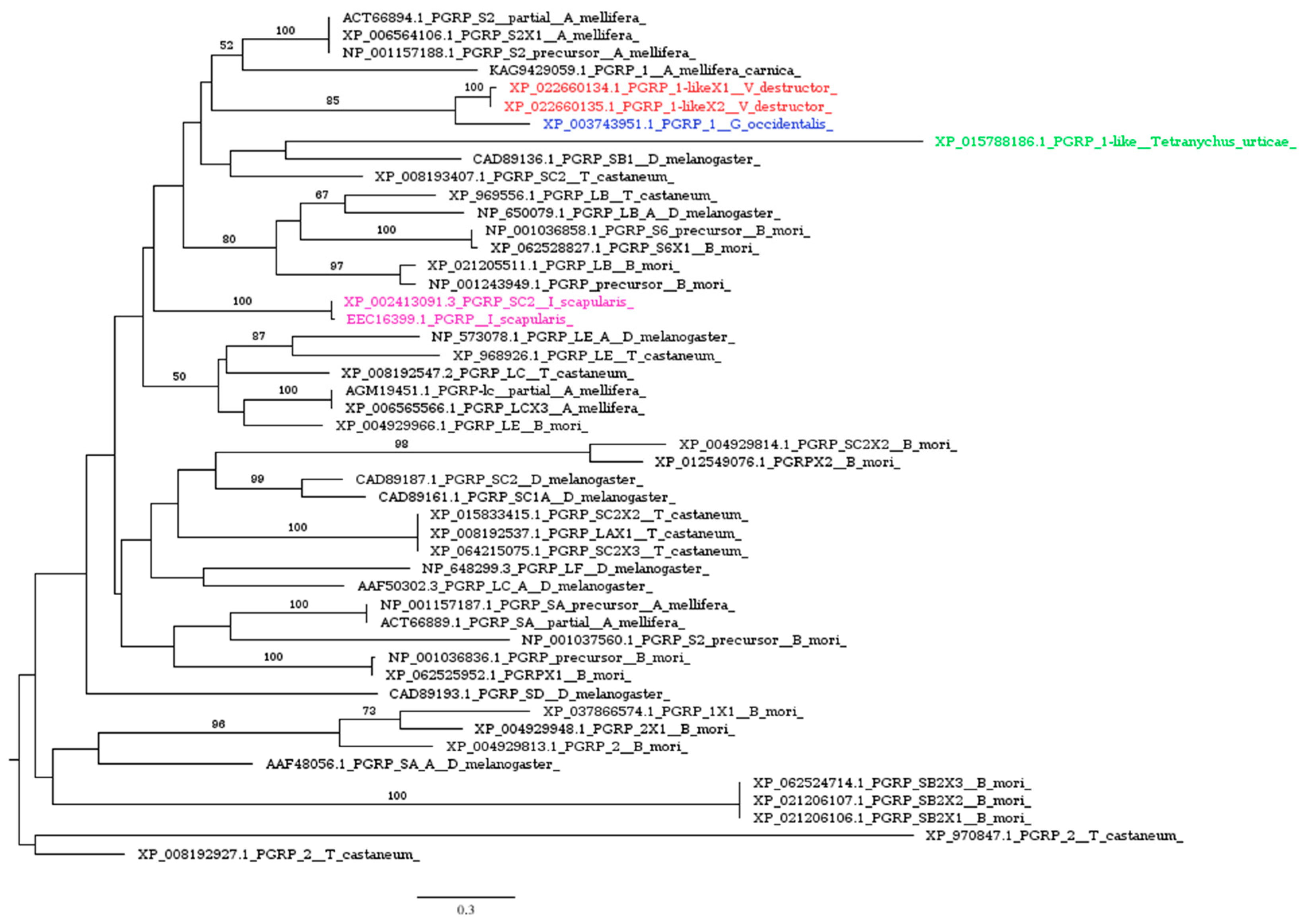 Insects 16 00356 g002