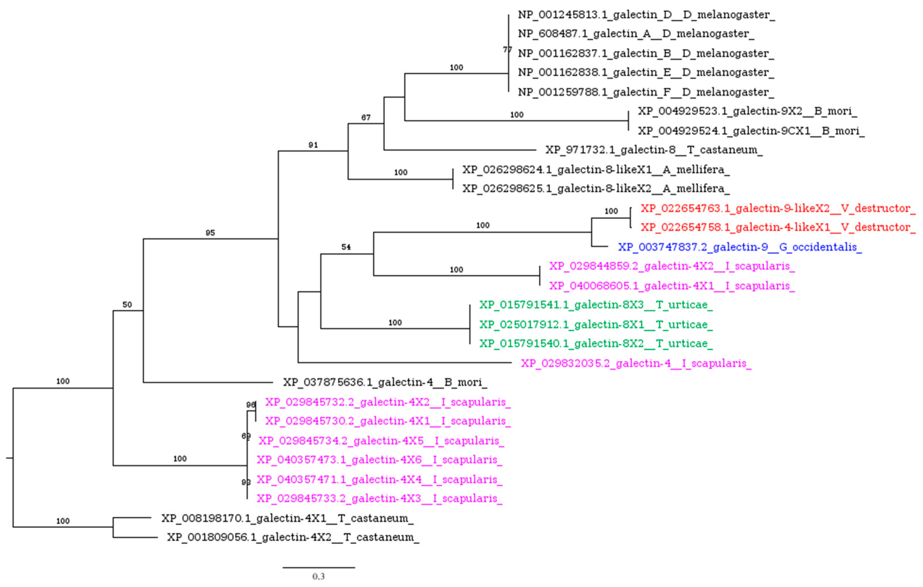 Insects 16 00356 g003