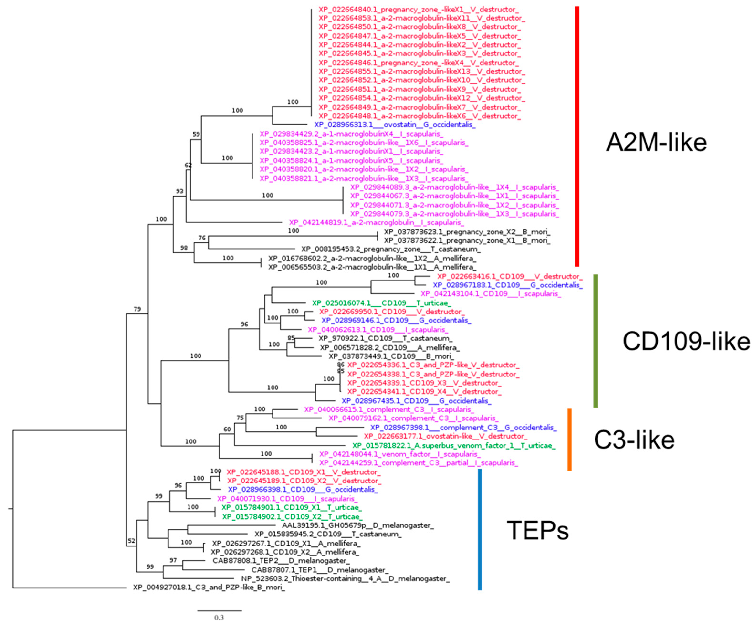 Insects 16 00356 g004
