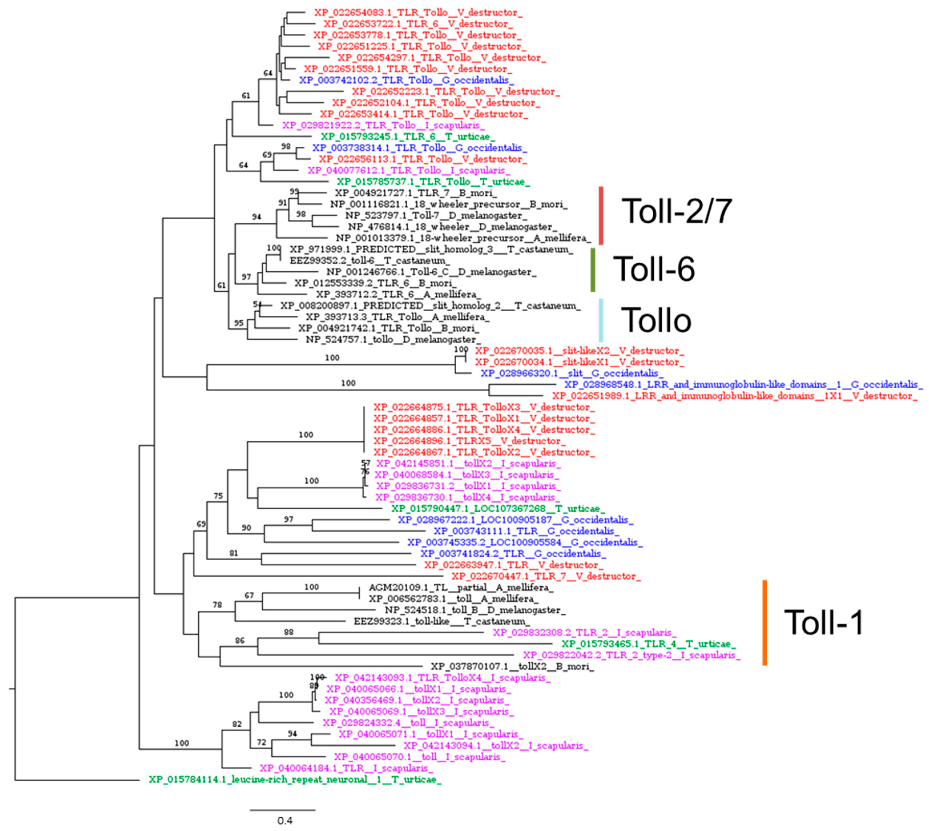 Insects 16 00356 g005
