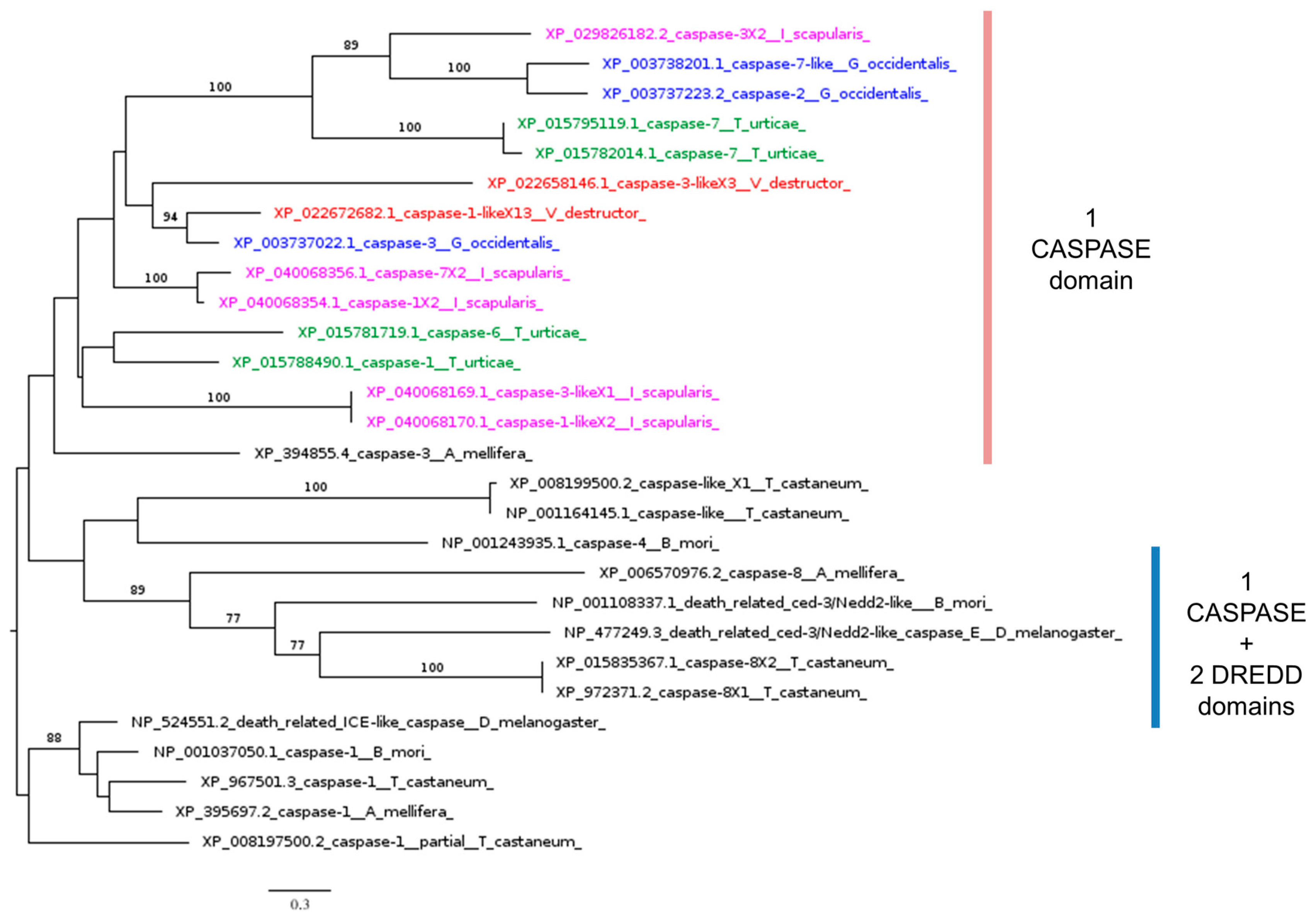 Insects 16 00356 g006