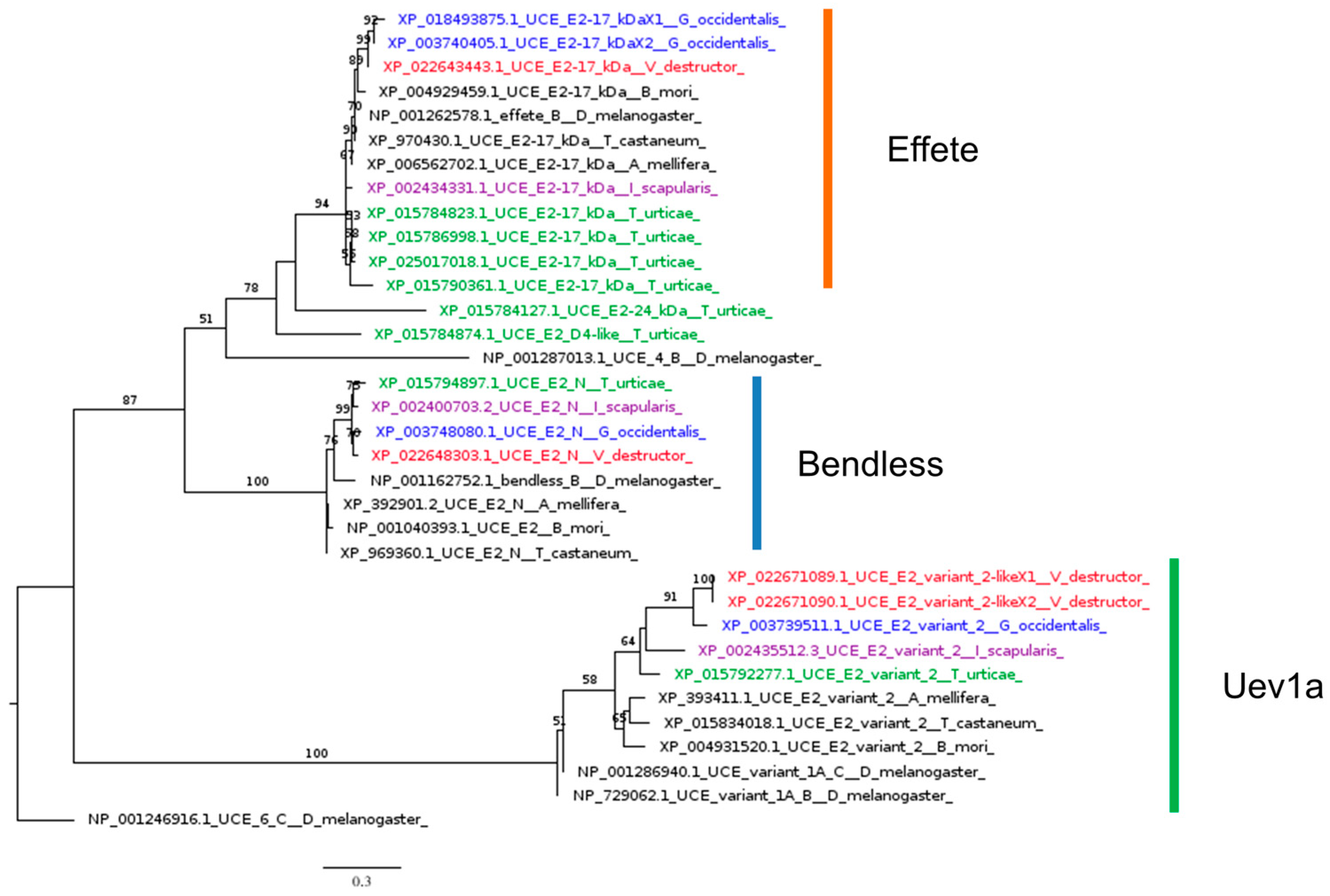 Insects 16 00356 g007