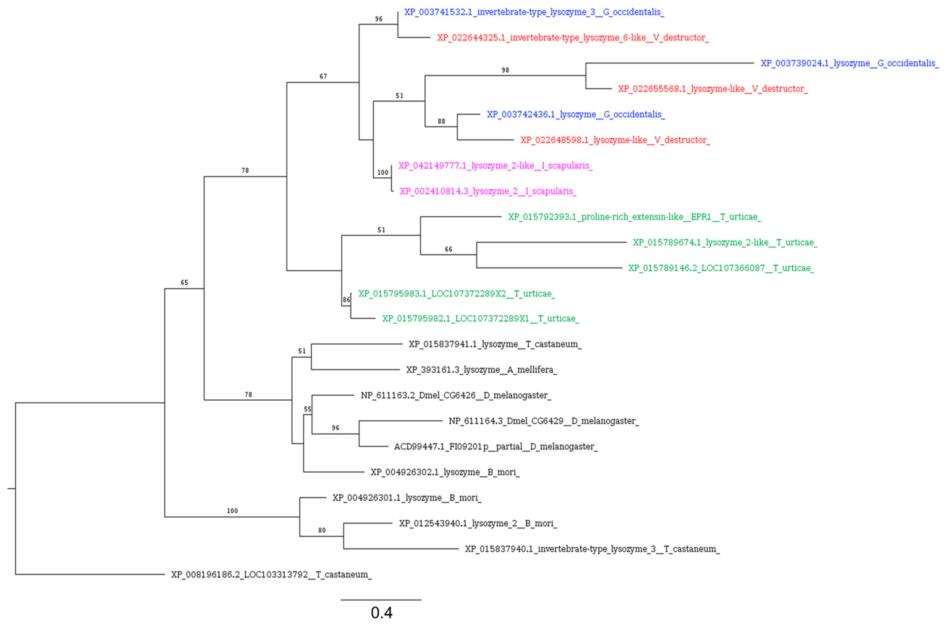 Insects 16 00356 g008