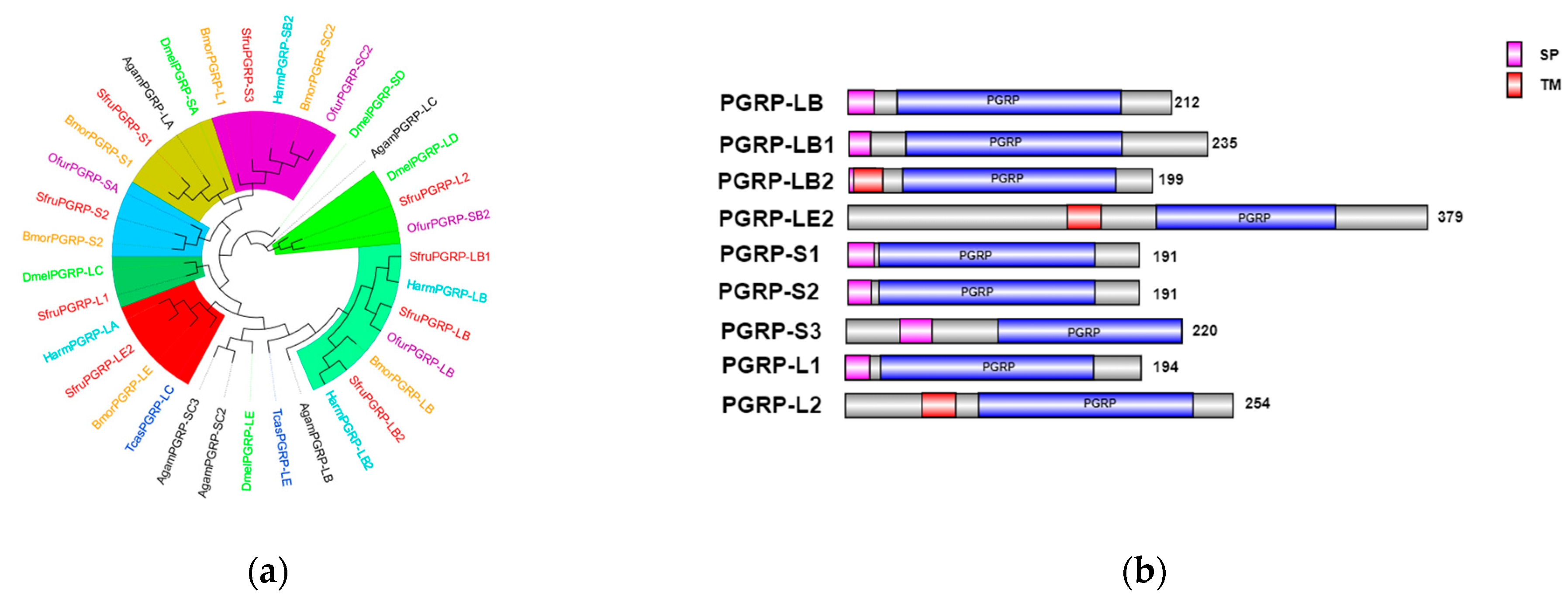 Insects 16 00360 g006