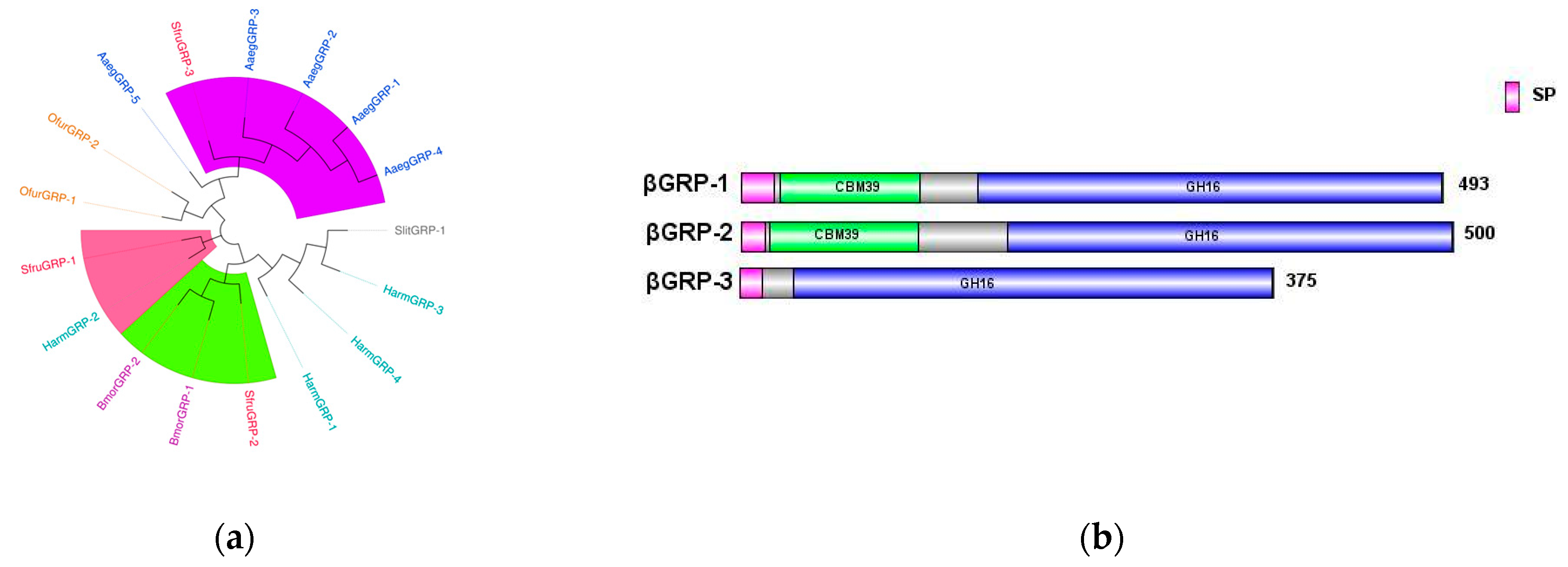 Insects 16 00360 g007