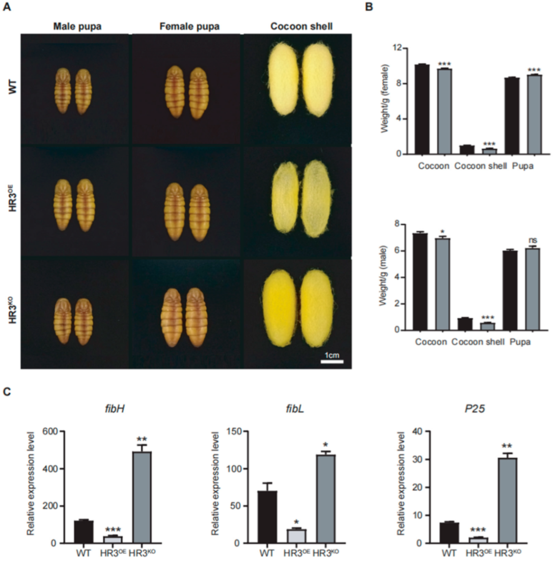 Insects 16 00369 g003