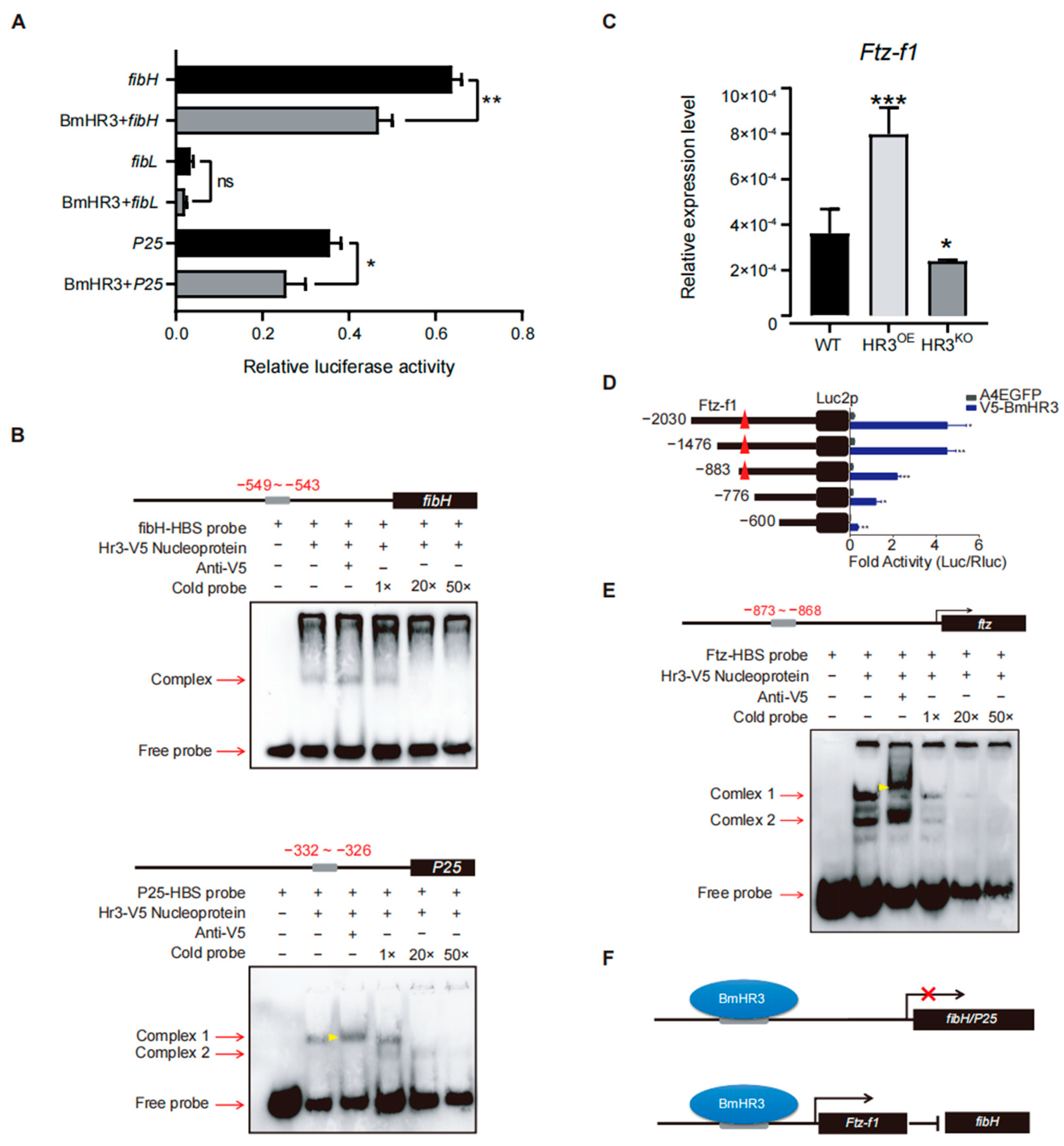 Insects 16 00369 g004